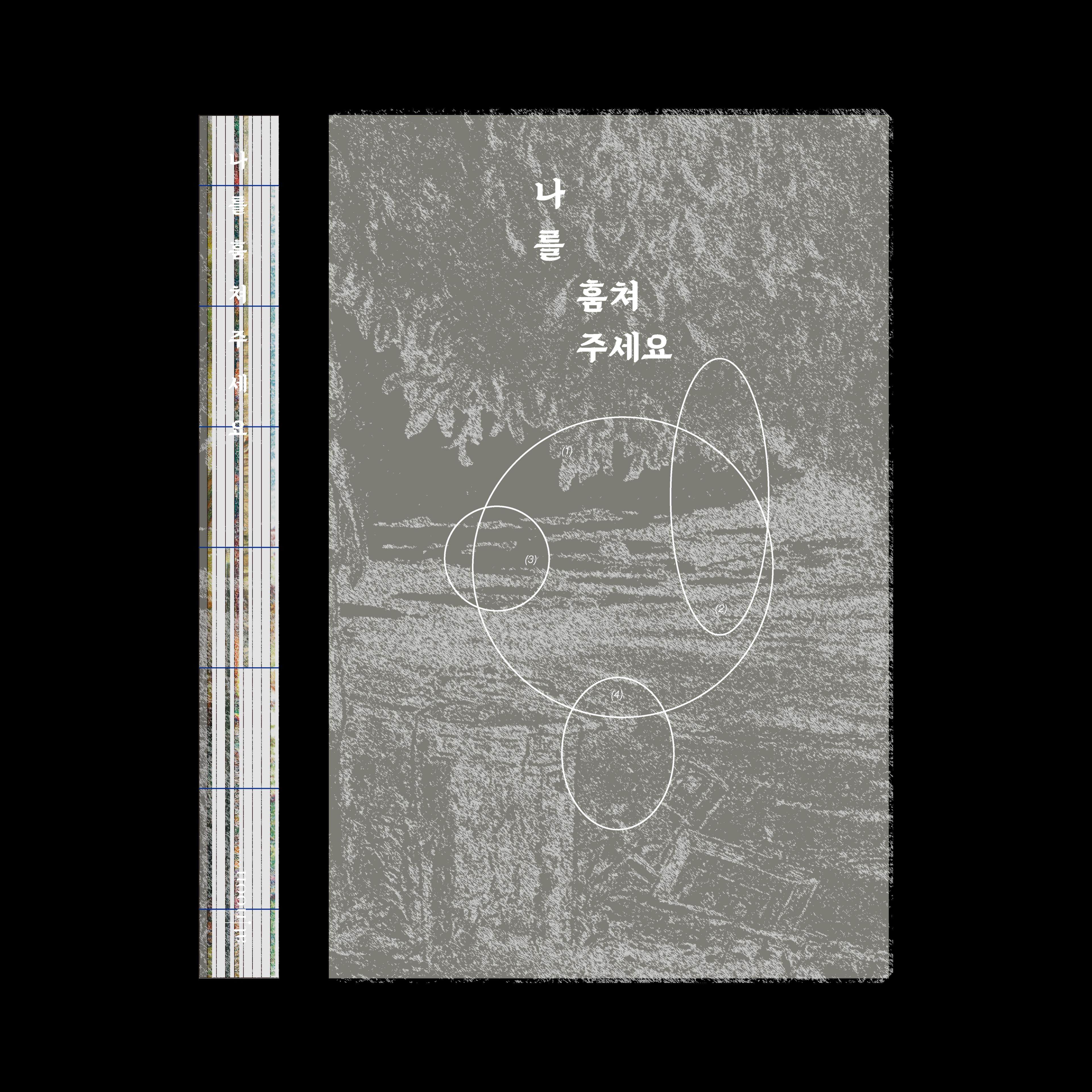 image of the lab project Steal me