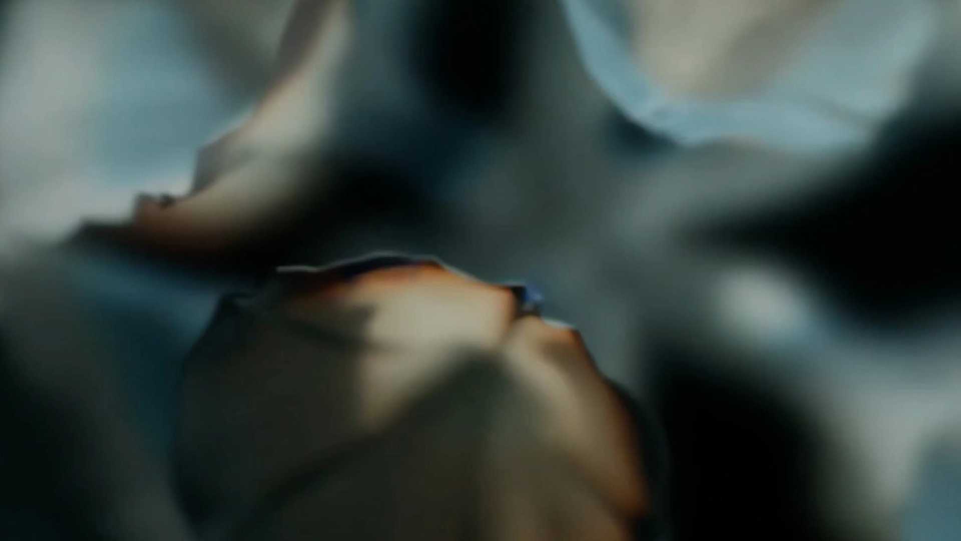 Illustrative image of the font collection Lemanic