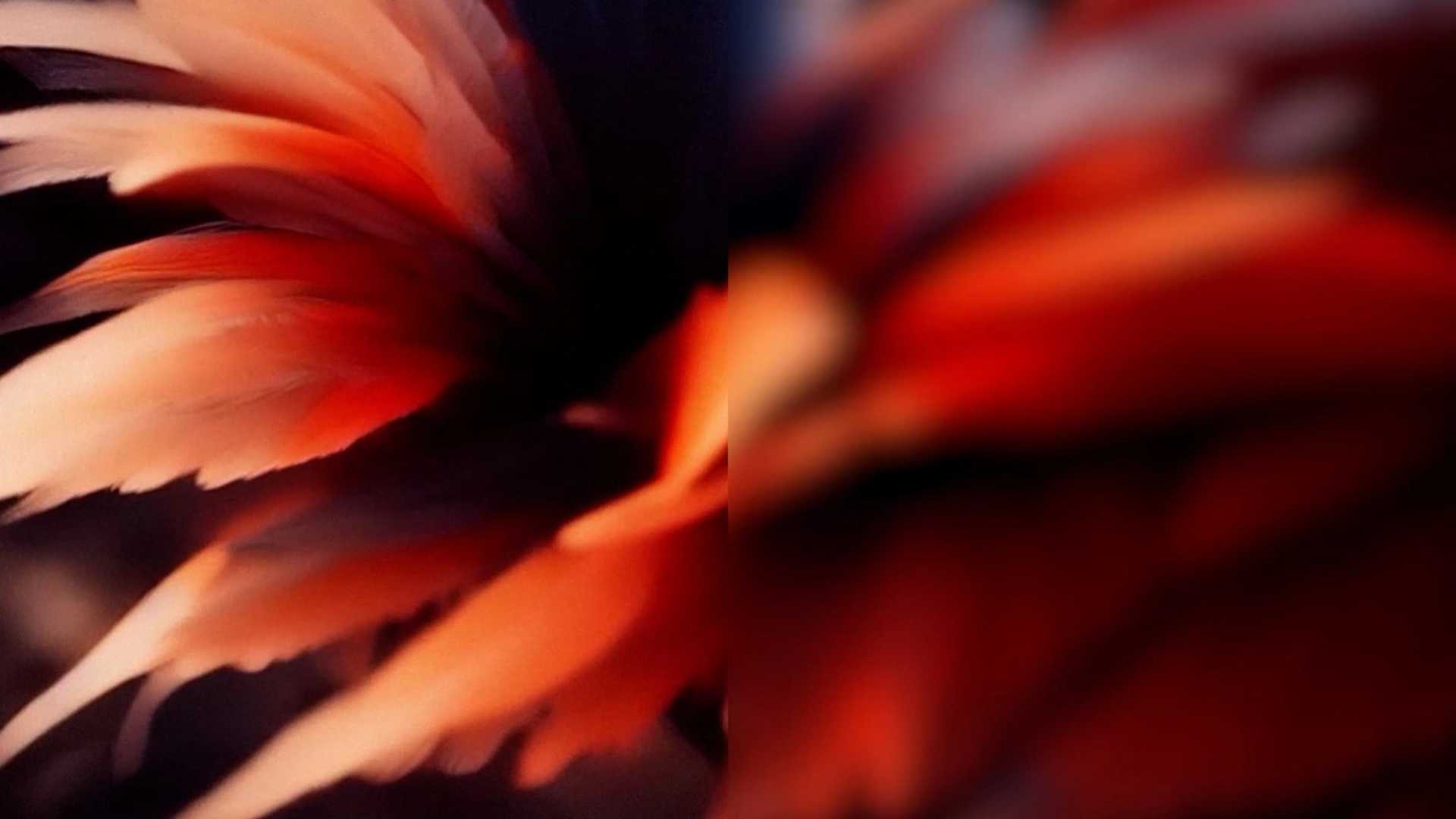 Illustrative image of the font collection Giparan