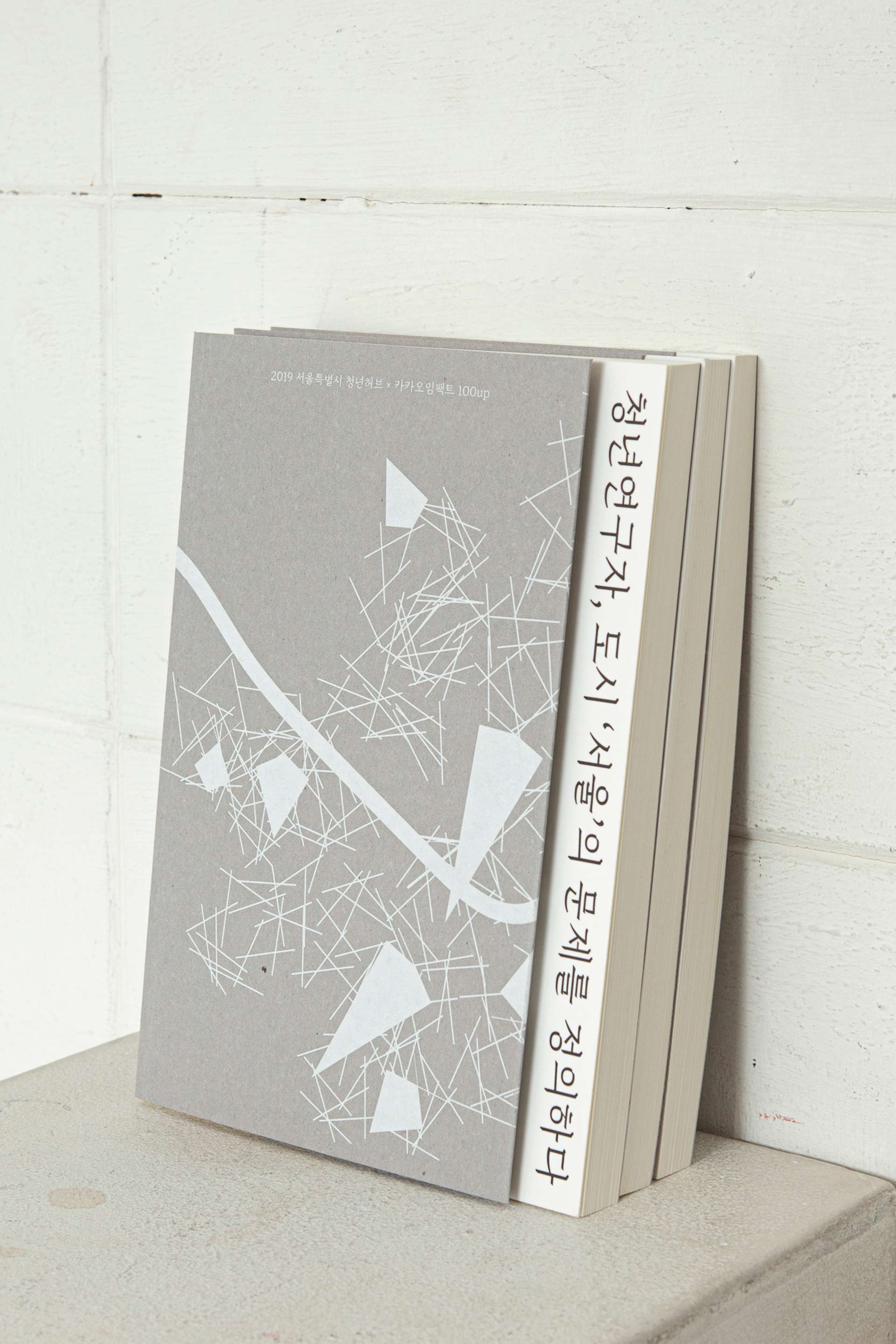 image of the lab project Young researcher, defines the problems of the city ‘Seoul’