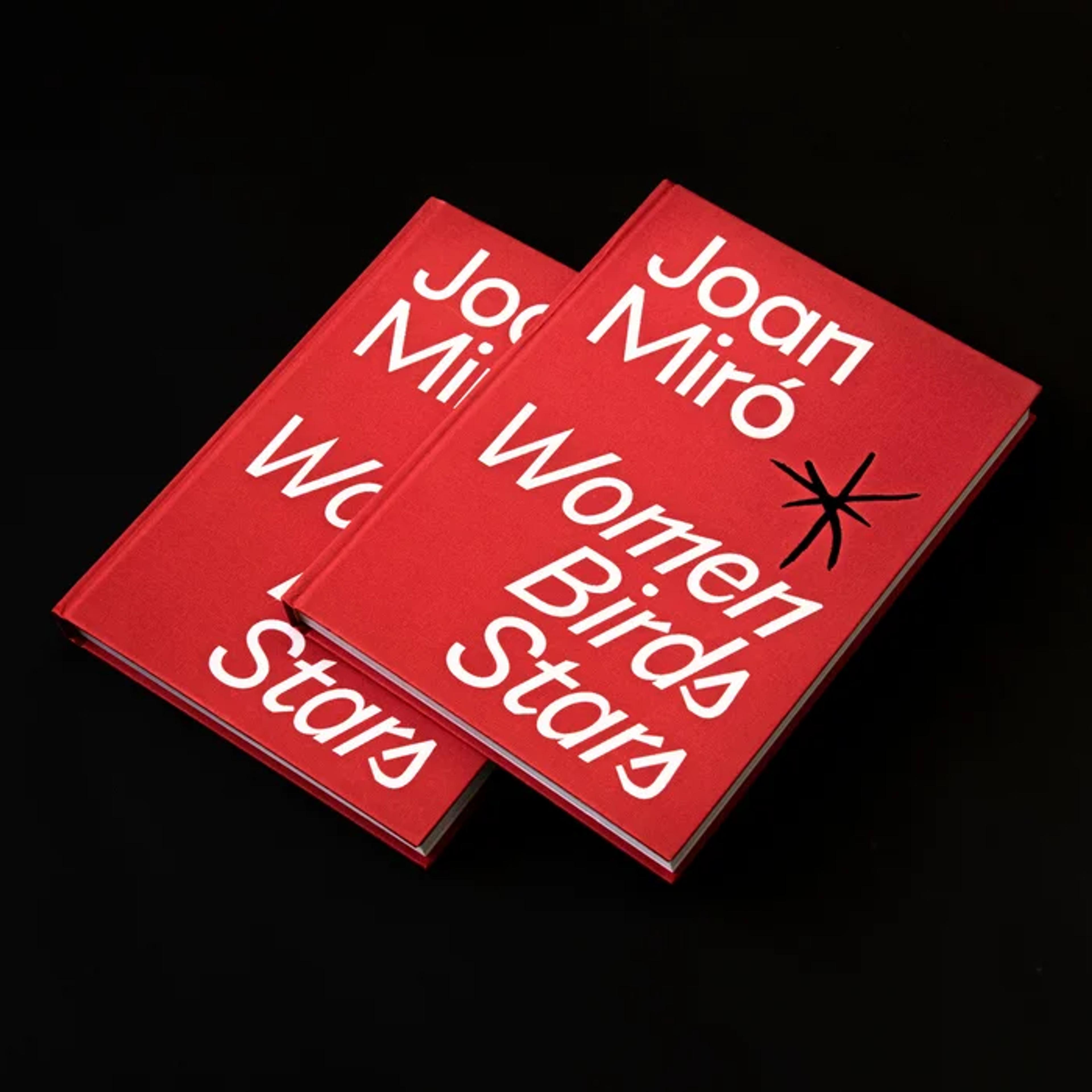 image of the lab project Joan Miró: Women,birs, stars 