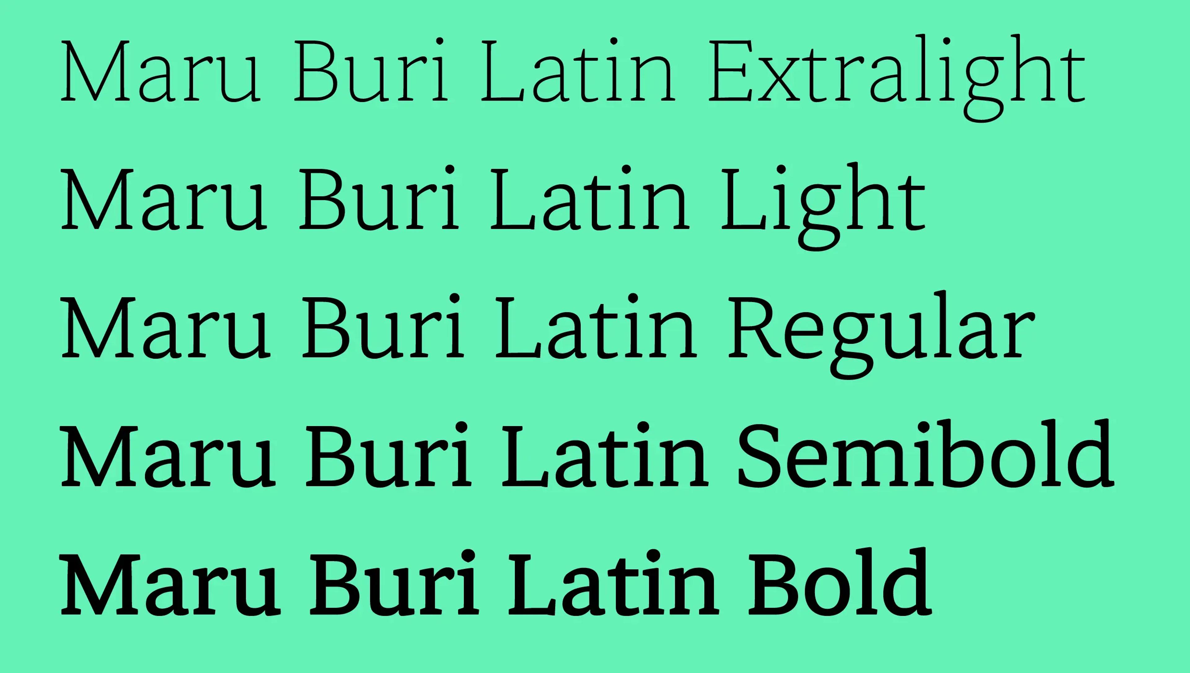 Naver Maru Buri project image 1