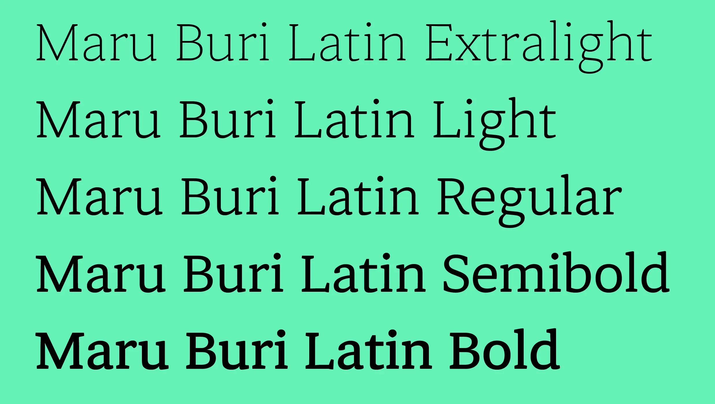 Naver Maru Buri project image 1