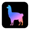 LlamaIndex