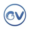 InternVL 3.5