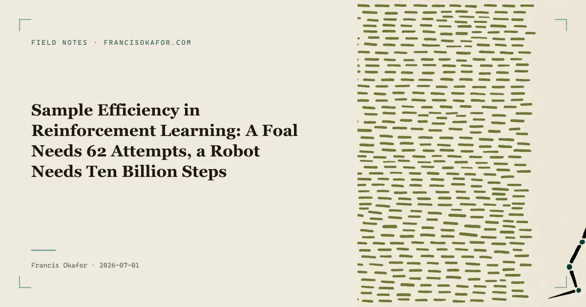 Sample Efficiency in Reinforcement Learning: A Foal Needs 62 Attempts, a Robot Needs Ten Billion Steps