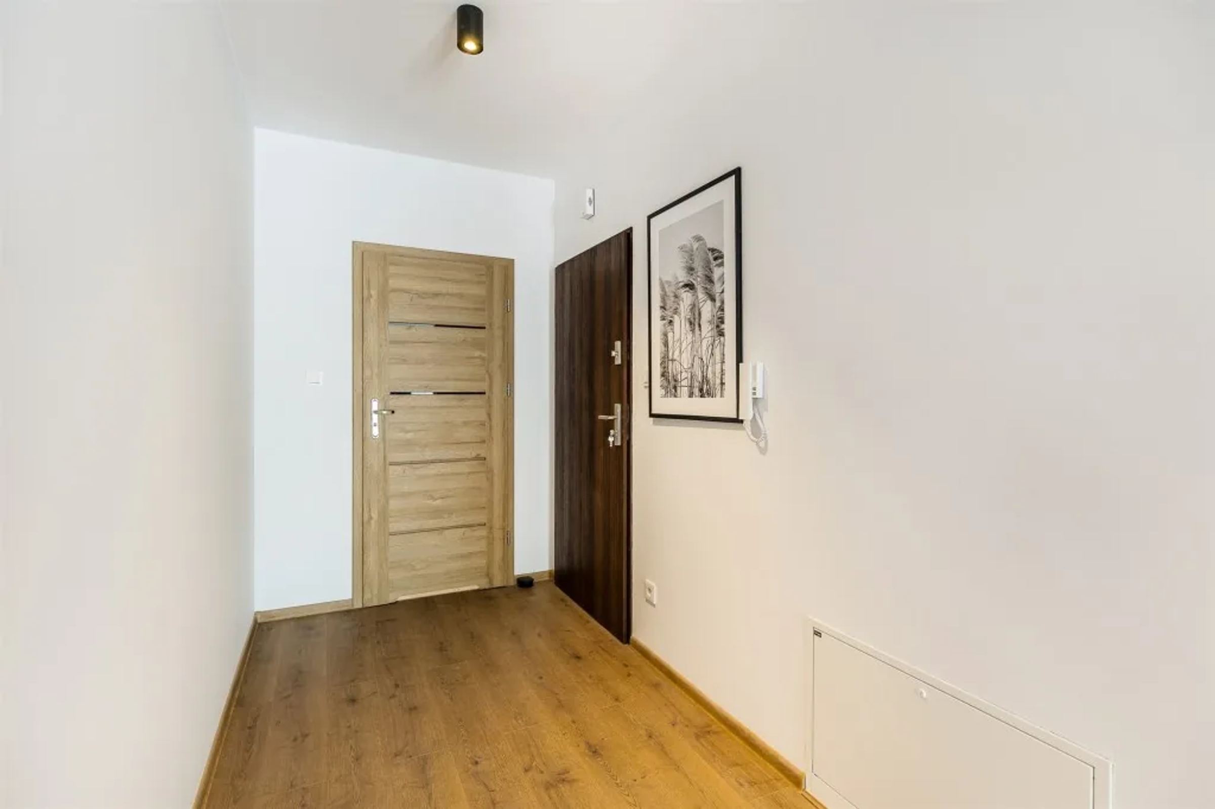 Nowe, parking, cisza, las (4)