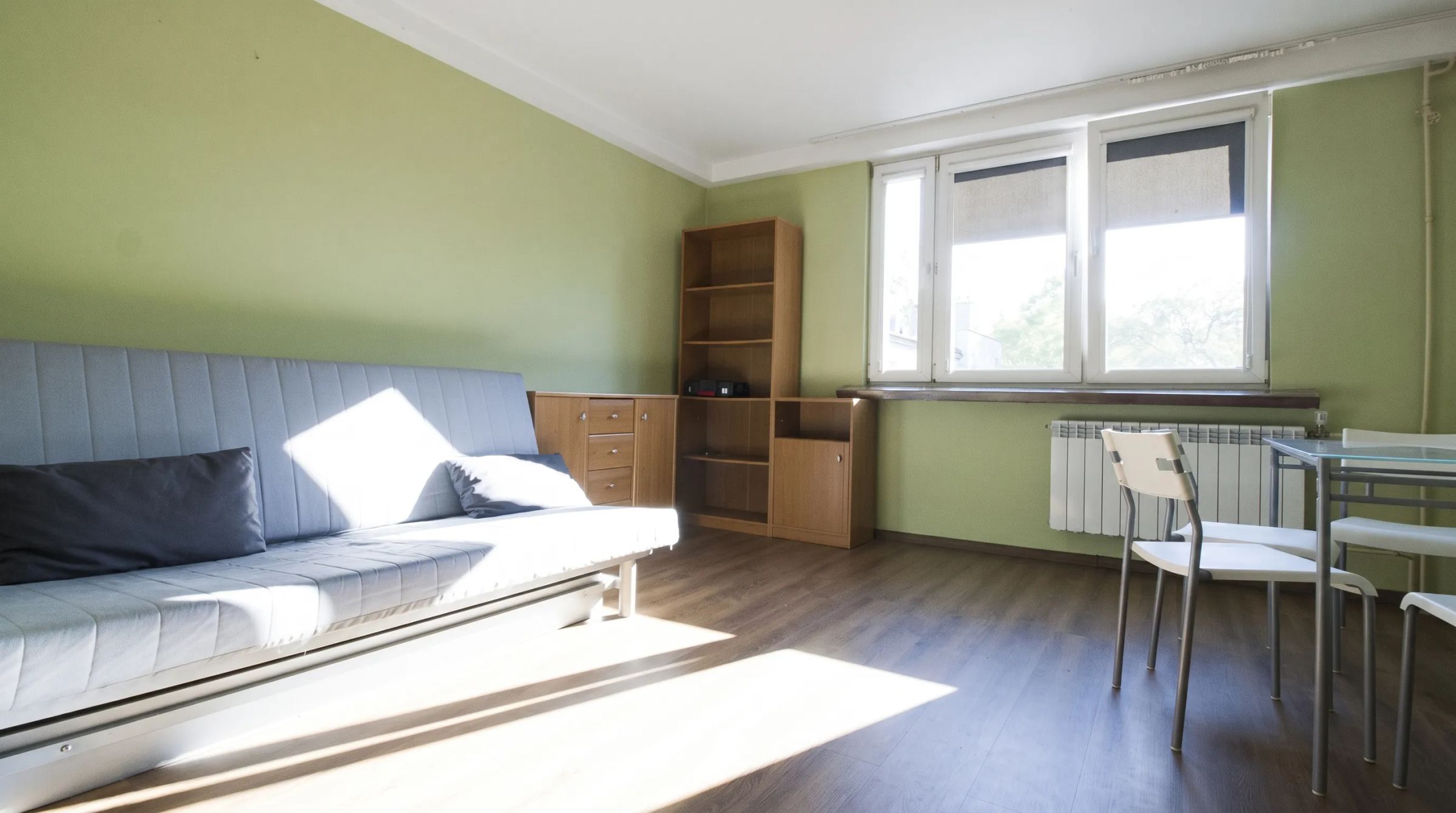 Pokój z rozkładaną kanapą, regałem i oknem wychodzącym na drzewa
