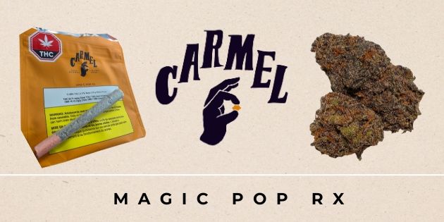 Magic Pop RX cannabis flower showcasing dark violet nugs with frosty trichomes and a sticky texture.