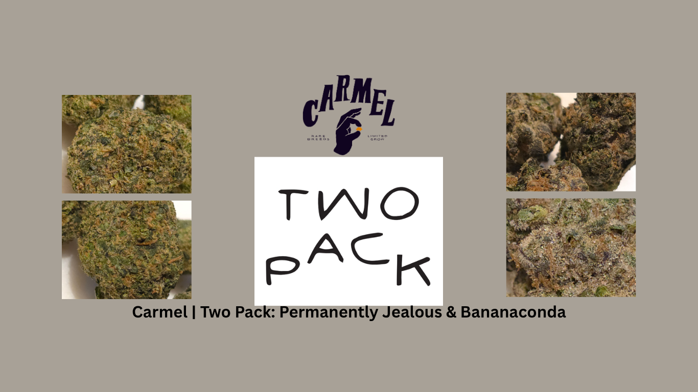 A double cannabis flower review featuring Permanently Jealous and Banana Conda. Permanently Jealous is a gas-forward indica with funk and soap notes, while Banana Conda offers a creamy, banana-scented hybrid experience. This review compares their bag appeal, aroma, flavour, effects, burn quality, and value, providing final scores and detailed breakdowns for each.