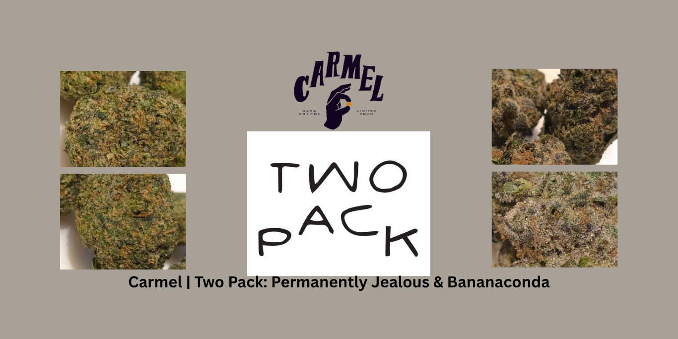 A double cannabis flower review featuring Permanently Jealous and Banana Conda. Permanently Jealous is a gas-forward indica with funk and soap notes, while Banana Conda offers a creamy, banana-scented hybrid experience. This review compares their bag appeal, aroma, flavour, effects, burn quality, and value, providing final scores and detailed breakdowns for each.