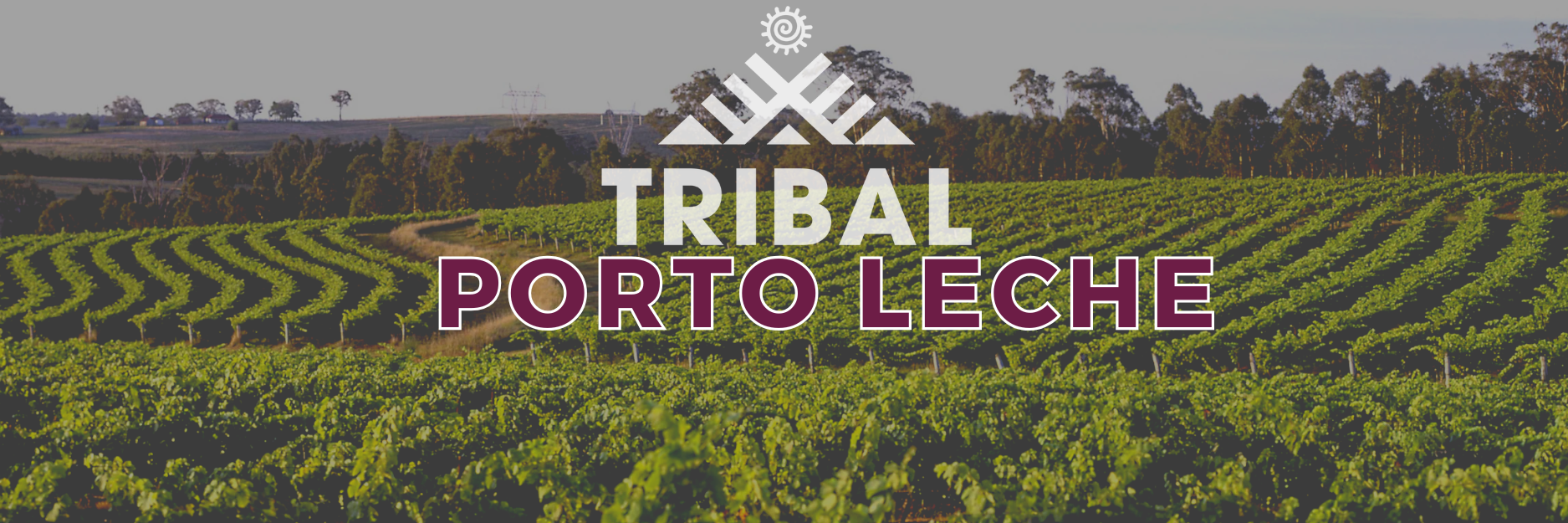 “Banner image for Tribal Porto Leche strain review, showing a wide vineyard landscape with green rows of grapevines under a cloudy sky. The Tribal logo and text ‘Tribal Porto Leche’ appear in bold white and burgundy across the center.”