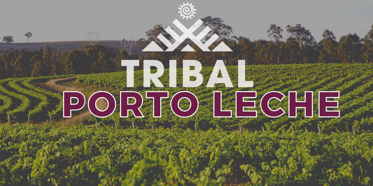 “Banner image for Tribal Porto Leche strain review, showing a wide vineyard landscape with green rows of grapevines under a cloudy sky. The Tribal logo and text ‘Tribal Porto Leche’ appear in bold white and burgundy across the center.”