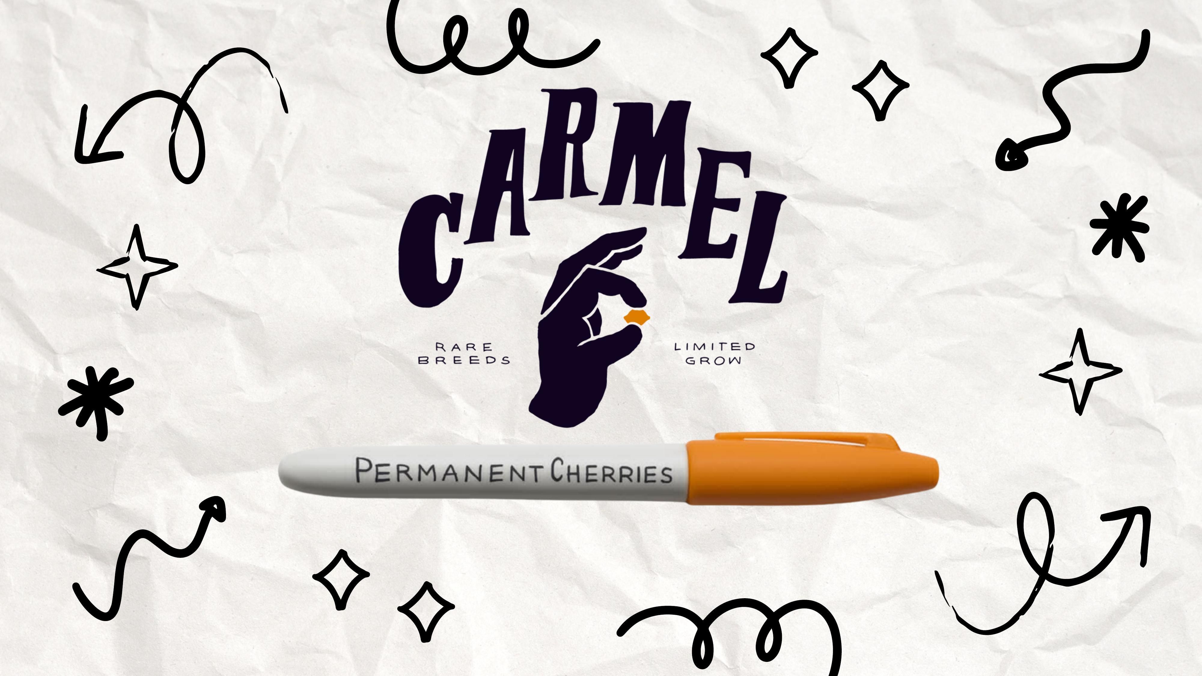 A black and white doodle-style company profile presentation cover page with hand-drawn illustrations framing the title text “Black and White Doodle Company Profile Presentation.”