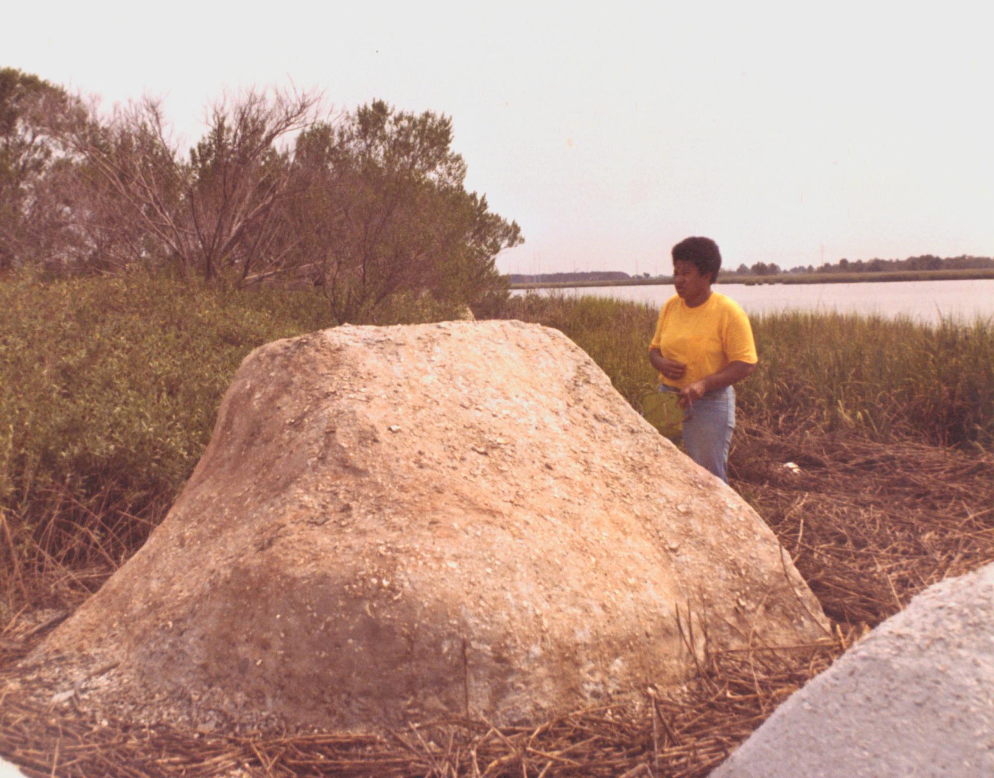 A Black woman in a yellow shirt stands beside a large shell midden in a marshy landscape.