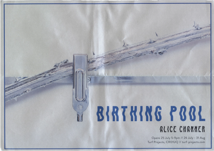 Exhibition poster featuring a pale, jagged diagonal rod held by a silver clamp against a white background, with the title "BIRTHING POOL" and artist "ALICE CHANNER" in blue text.