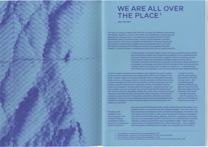 An open book with a purple and blue textured, wave-like pattern on the left page, and text on the right page titled "WE ARE ALL OVER THE PLACE" by Jes Fernie.