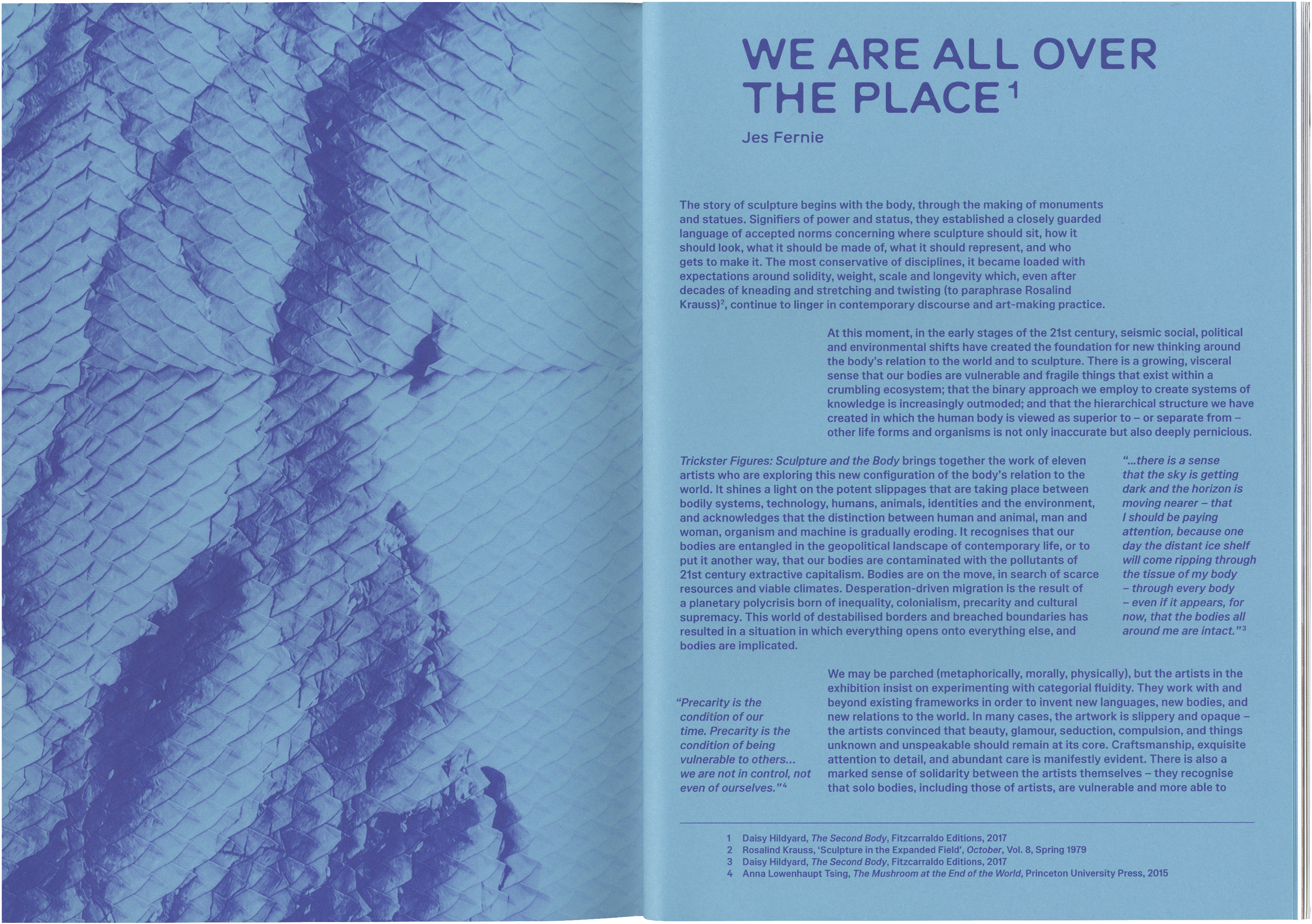 An open book showing an article titled "WE ARE ALL OVER THE PLACE¹" by Jes Fernie on the right page, against a blue and purple scaled or rippled texture on the left page.