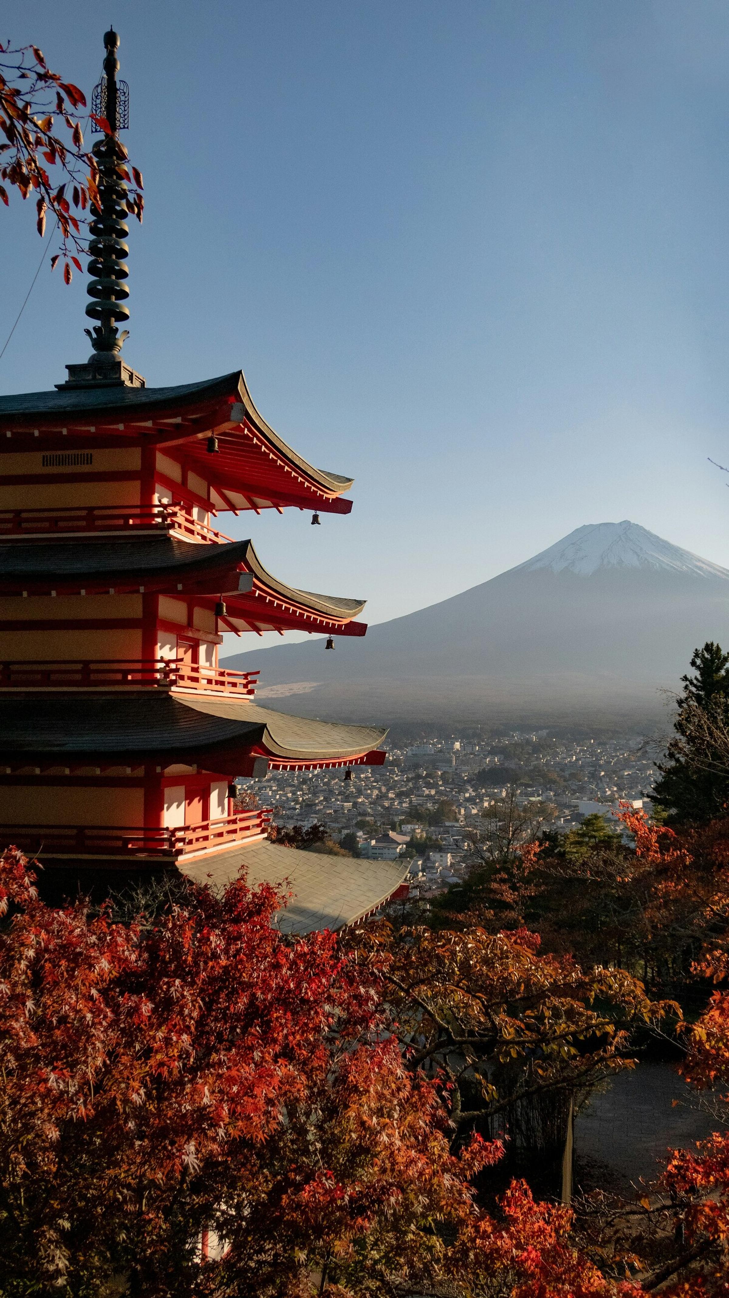 Pagoda Chureito, Gunung Fuji, dan maple merah musim gugur
