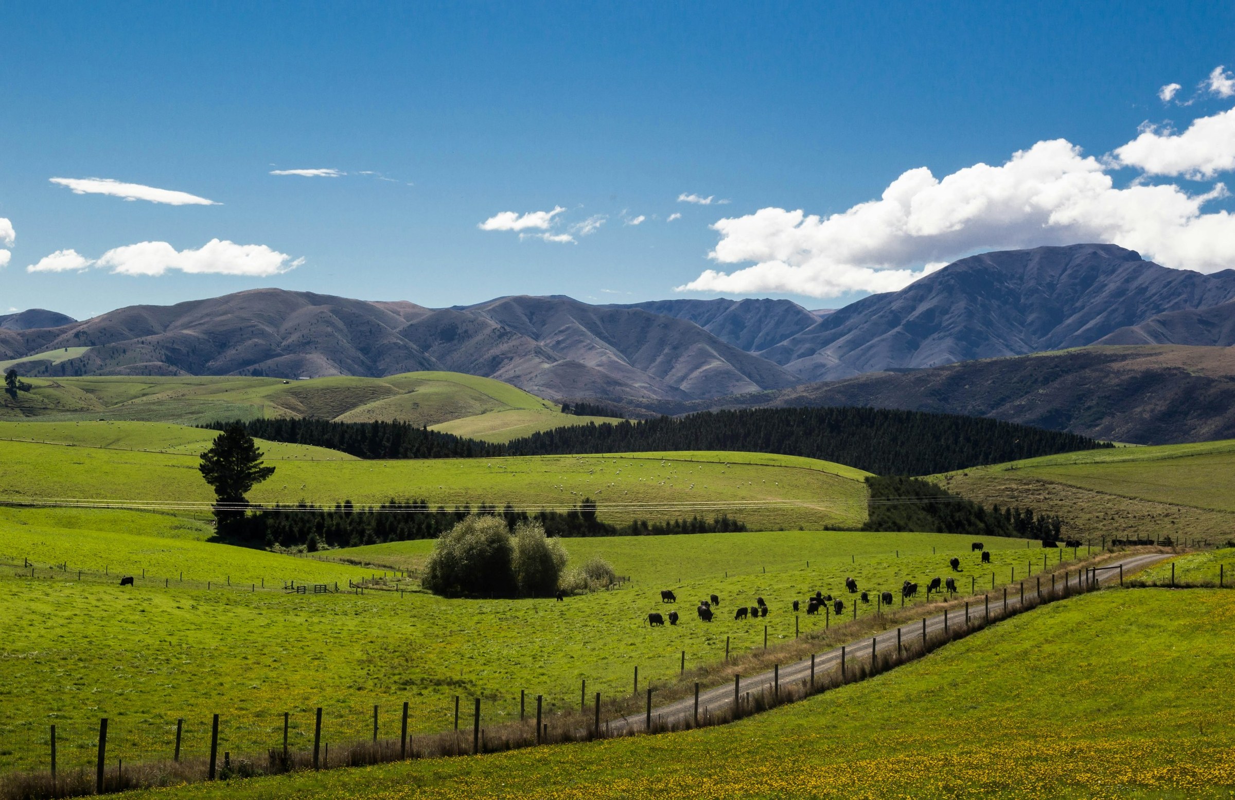 Panorama alam di New Zealand