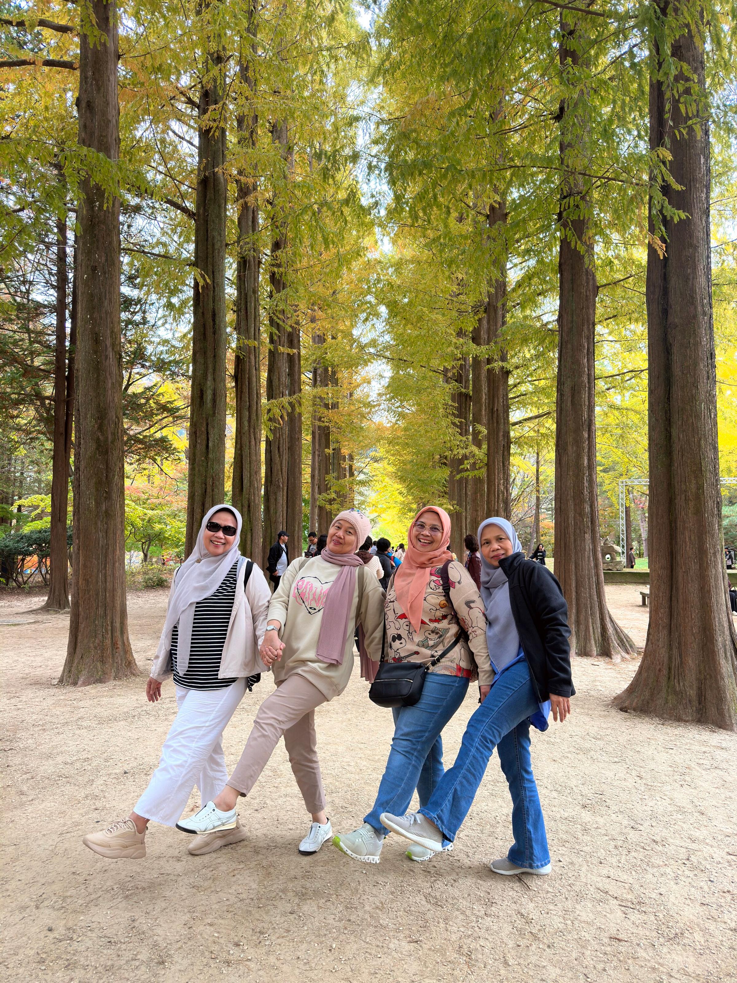 Tour Korea Autumn: Avenue pepohonan emas