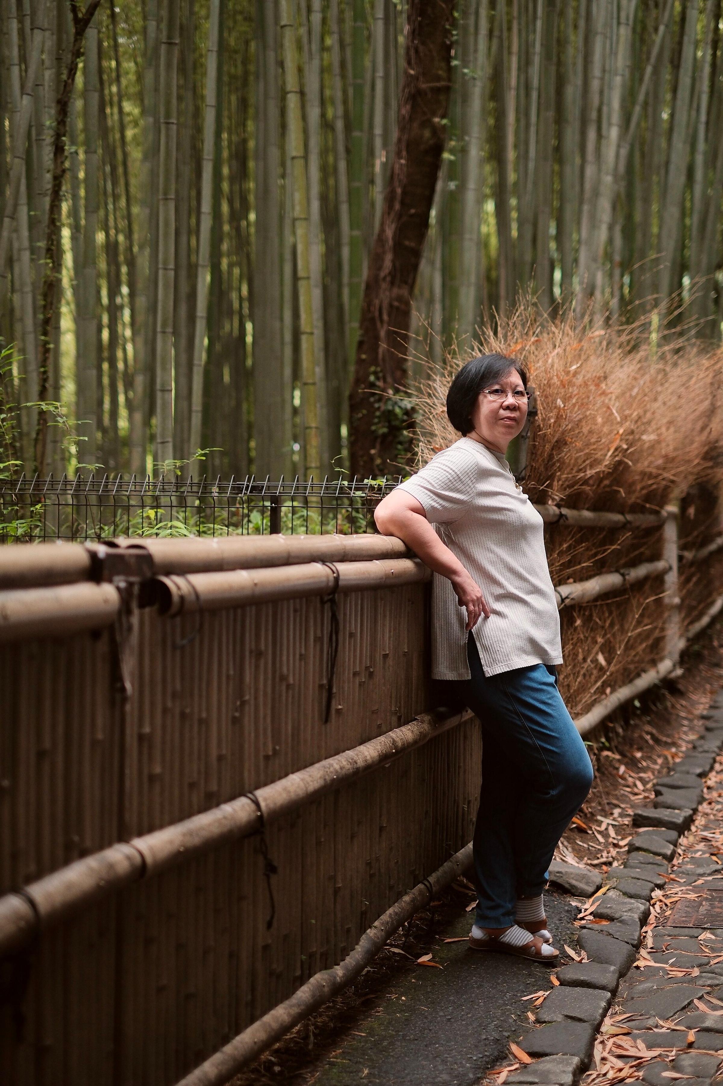 Tour Jepang Avenir: Hutan bambu Arashiyama