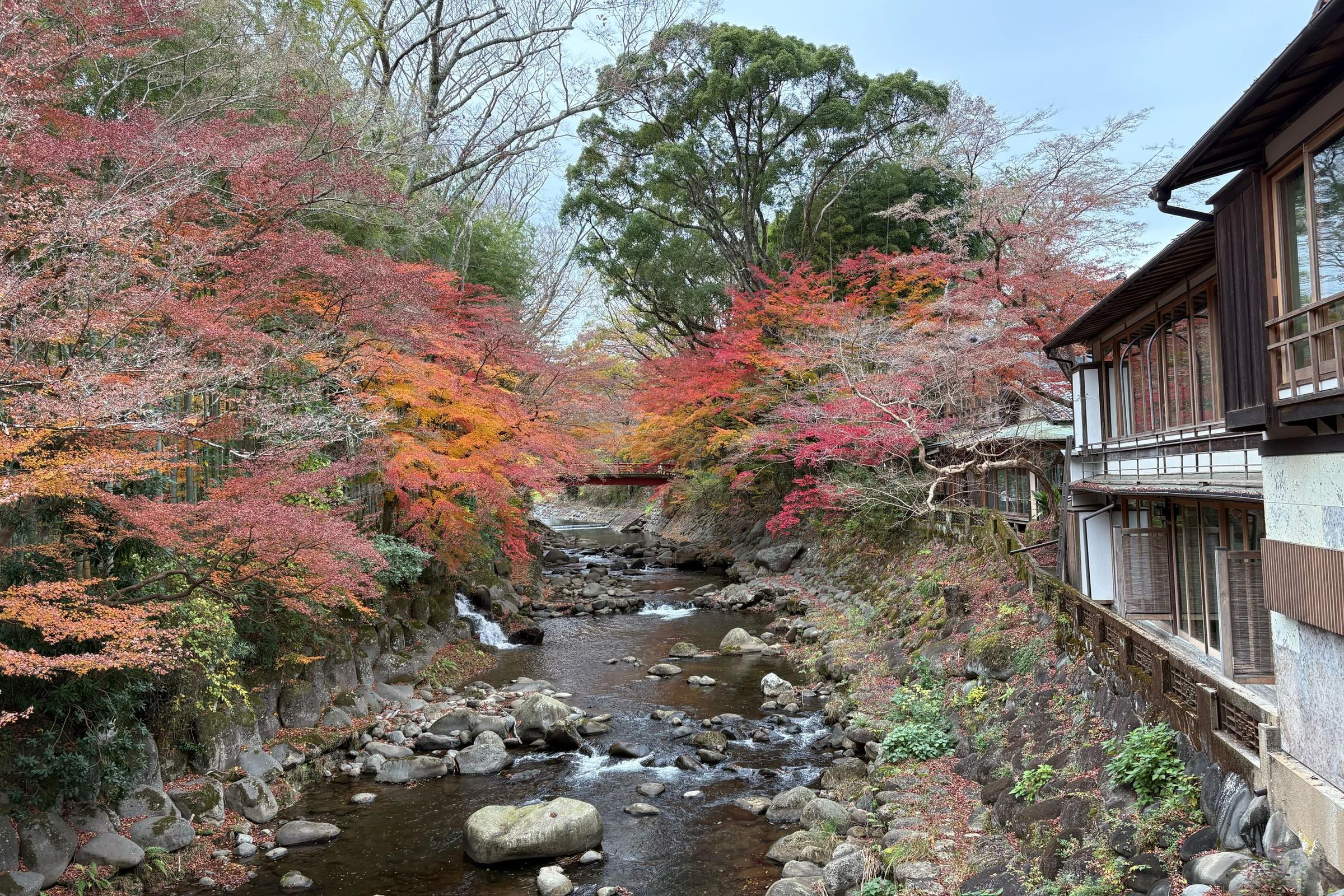 musim gugur di Jepang