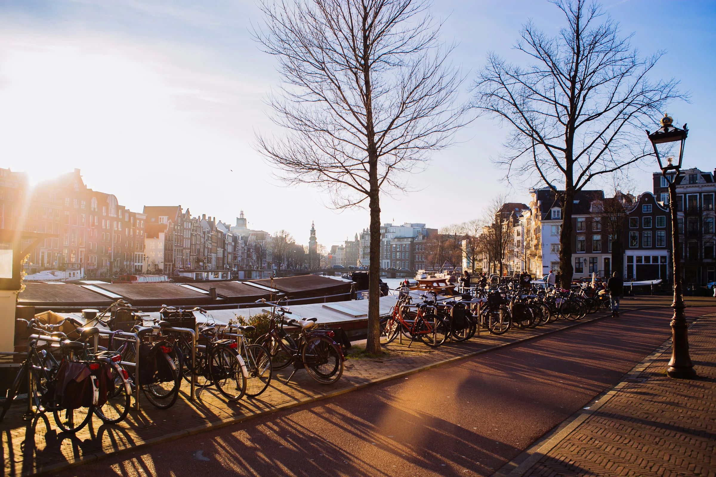 Kanal Amsterdam dengan pohon-pohon gundul, sepeda, dan rumah batu di bawah cahaya matahari rendah.