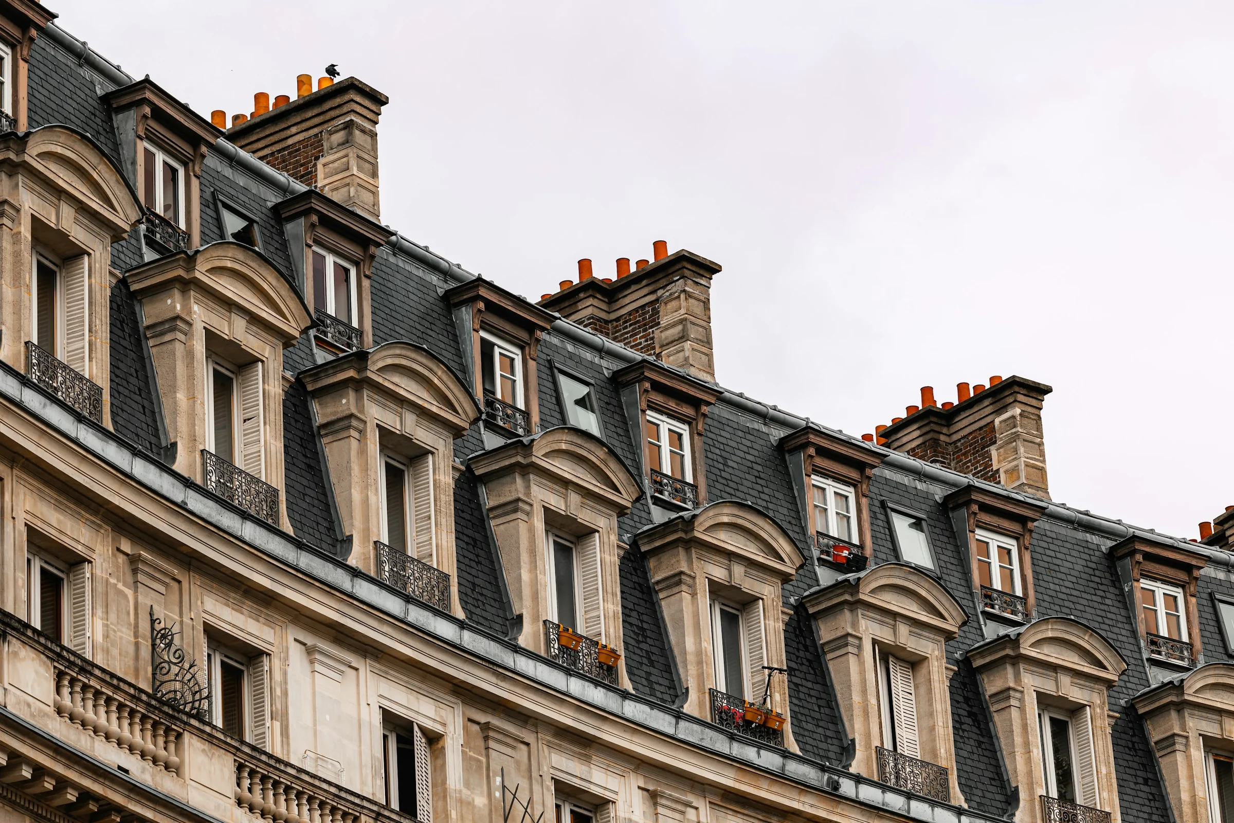 Atap mansard khas Paris di bawah langit musim dingin yang pucat.