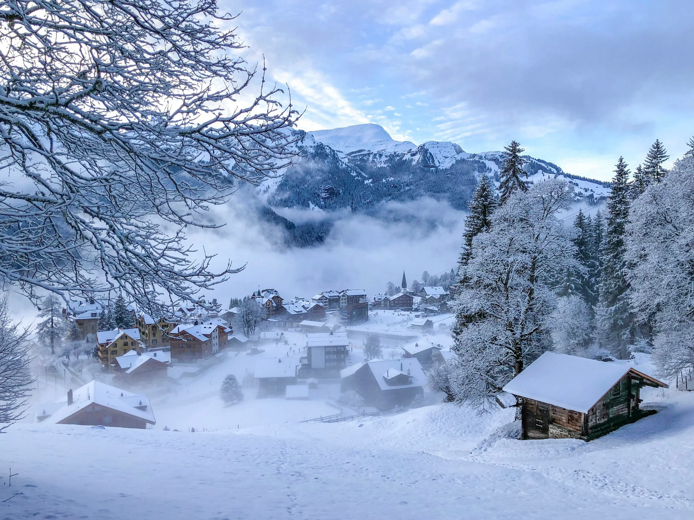 Desa pegunungan Swiss berkabut dengan pondok kayu dan pohon berselimut salju.