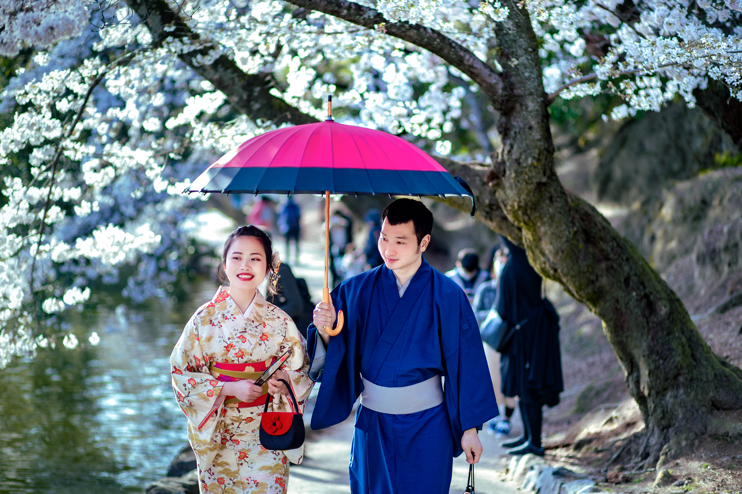 musim semi di Jepang