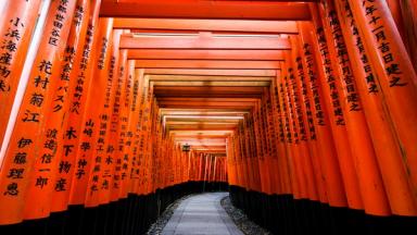 Gerbang torii Fushimi Inari di Kyoto, Jepang