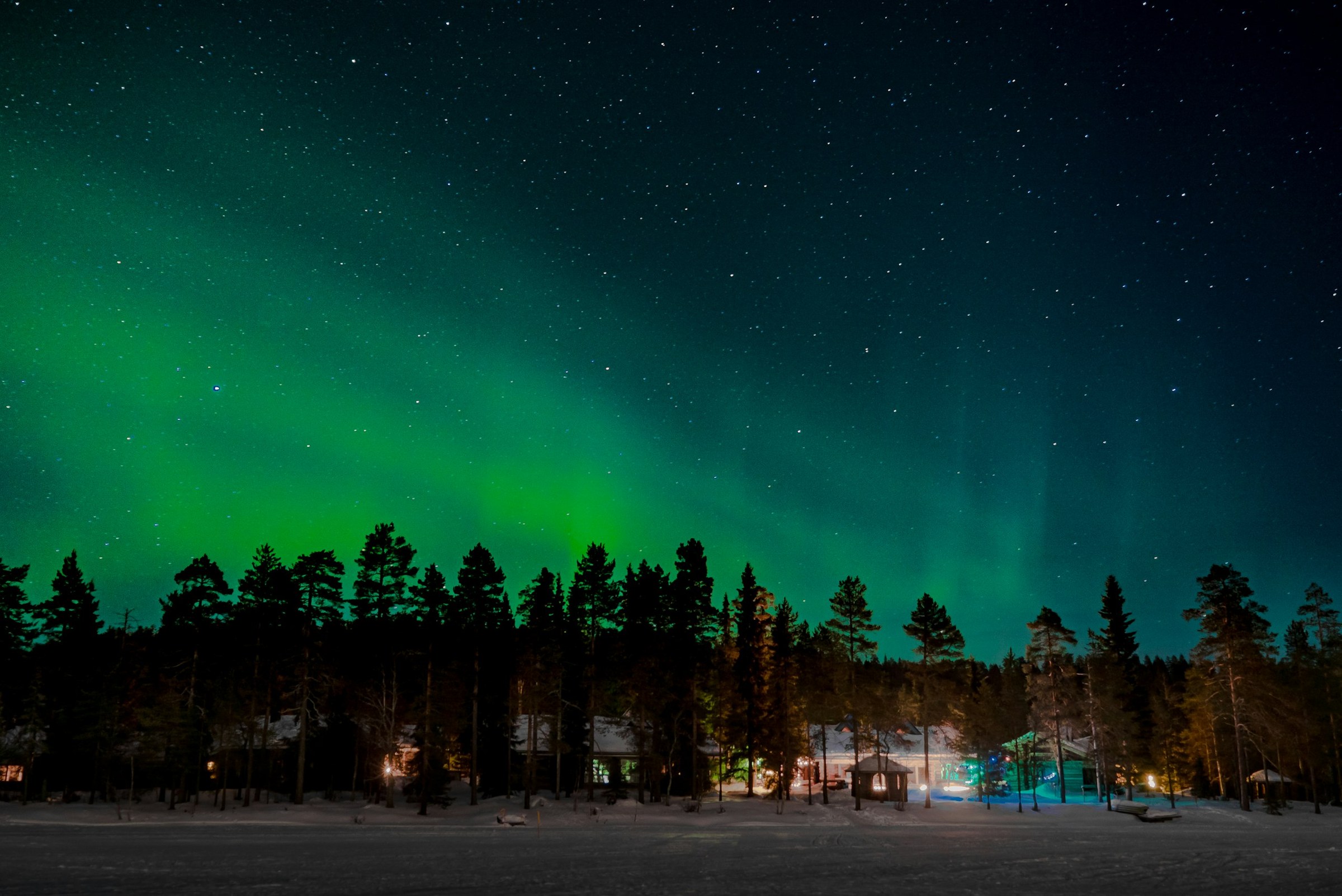 Aurora Borealis hijau di langit malam berbintang di atas hutan pinus dan kabin bersalju Lapland
