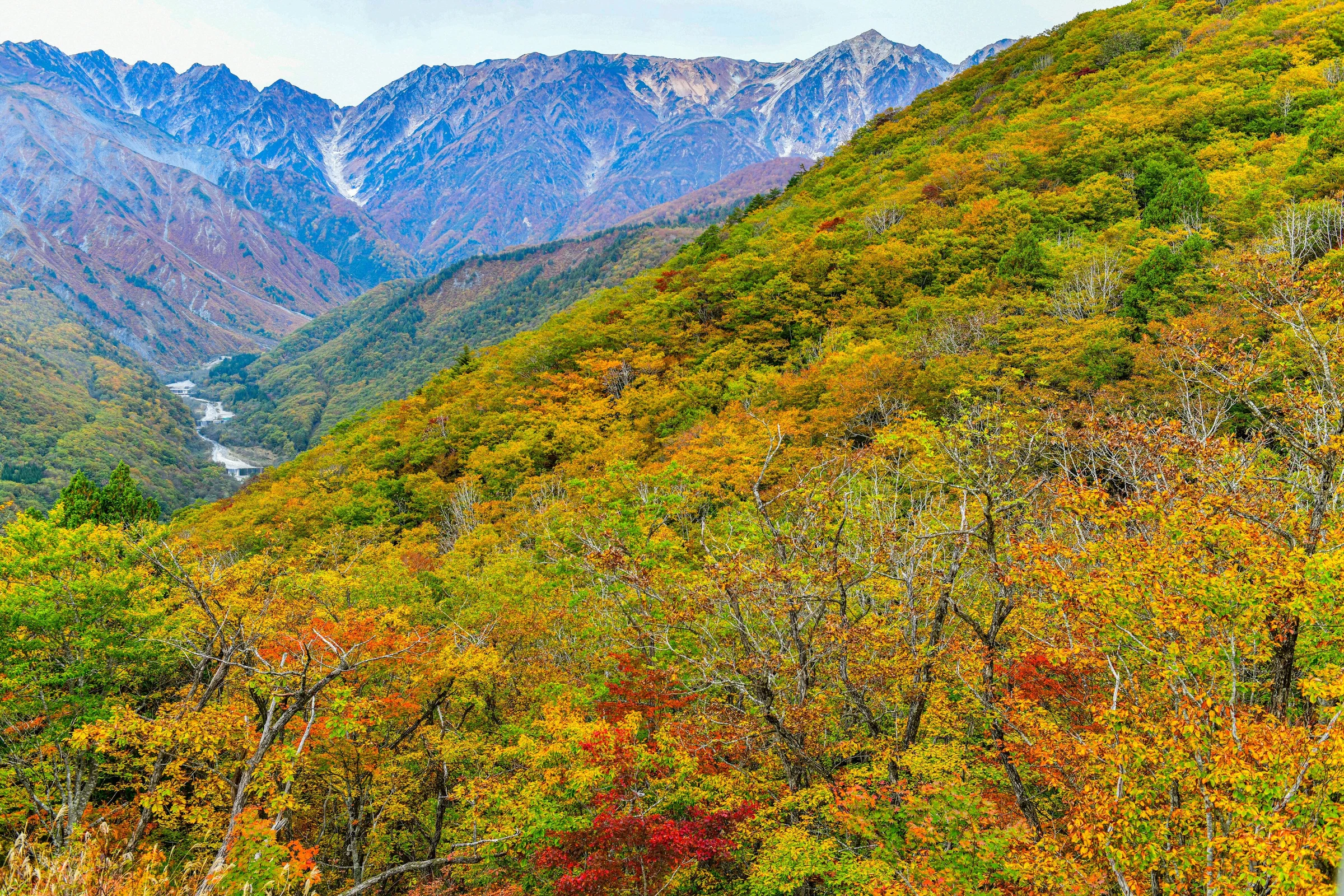 Lereng Hakuba Iwatake berwarna musim gugur dengan Pegunungan Alpen Jepang di belakang