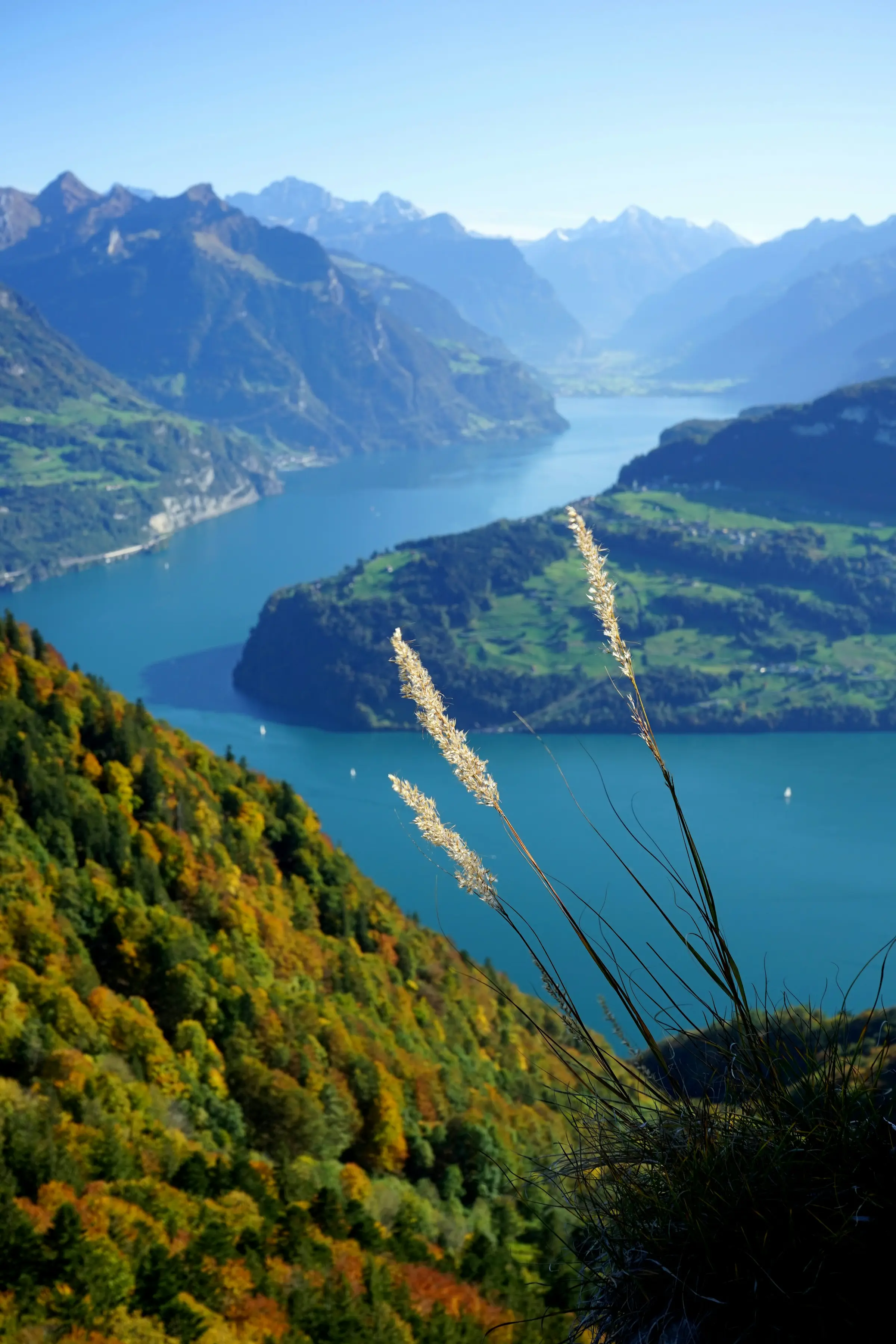 Danau Alpen Swiss berwarna biru dalam dengan lereng berhutan bernuansa musim gugur.