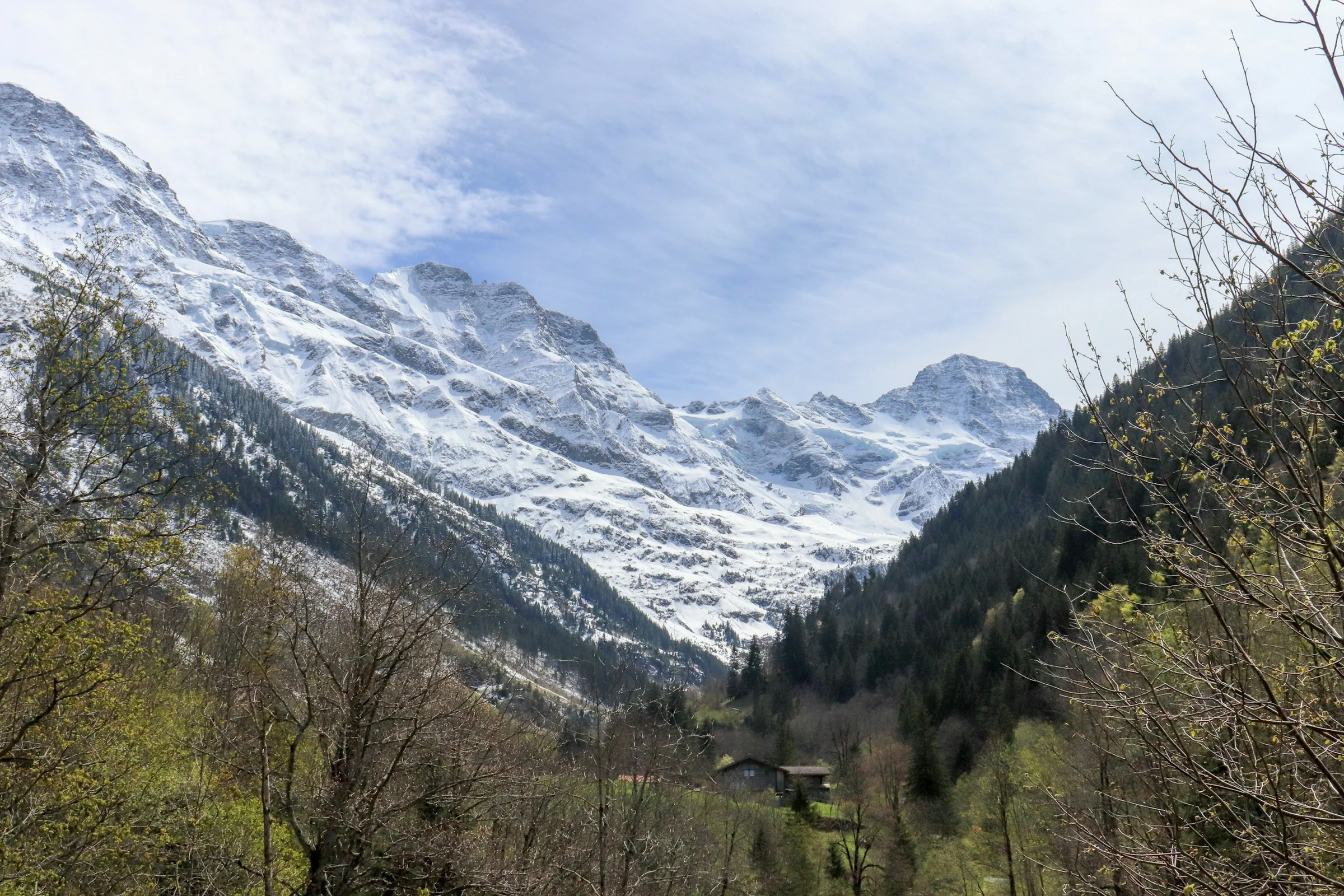 Lembah Lauterbrunnen dengan puncak bersalju, pepohonan yang mulai bertunas, dan langit pucat.