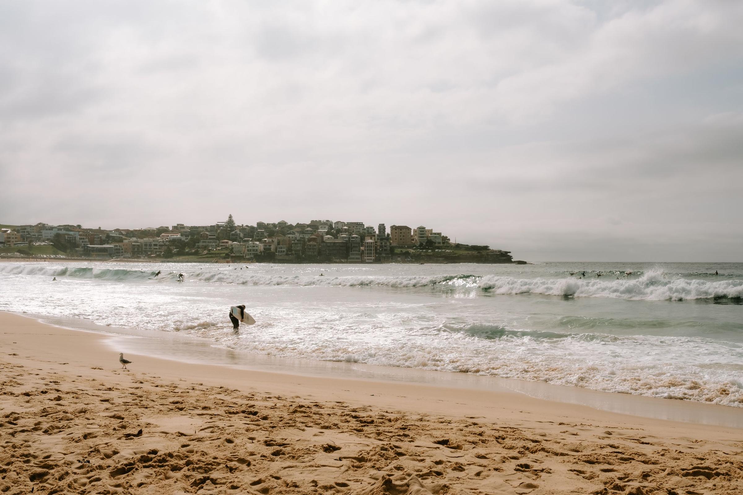 Peselancar di pantai Bondi Sydney