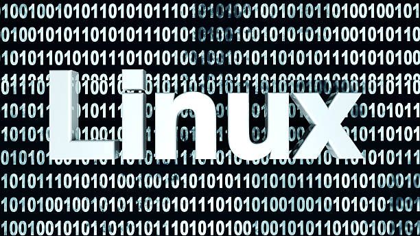 Do I Need to Know the Full Commands in Linux?