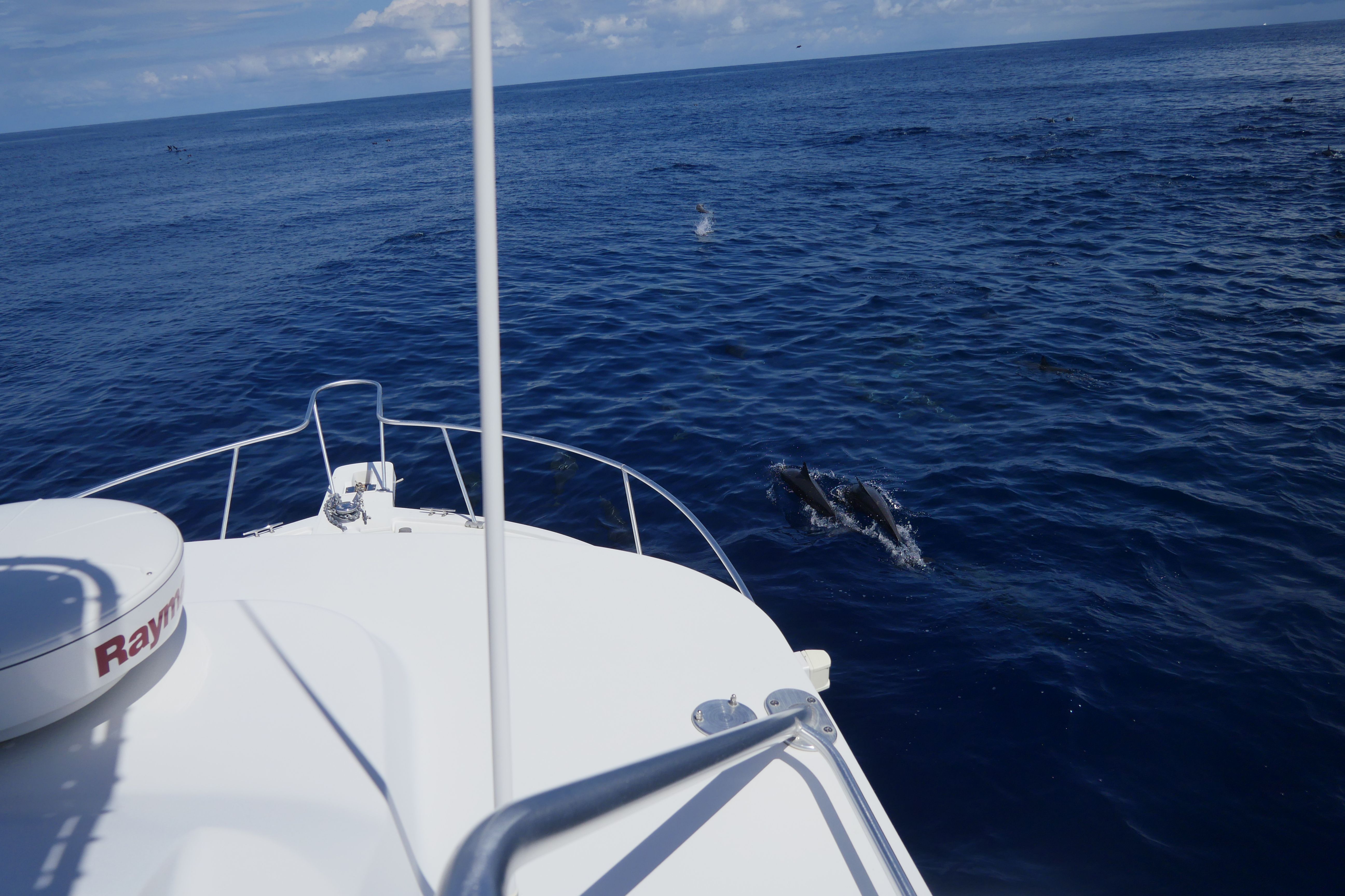 Fishing In Costa Rica is Insane!