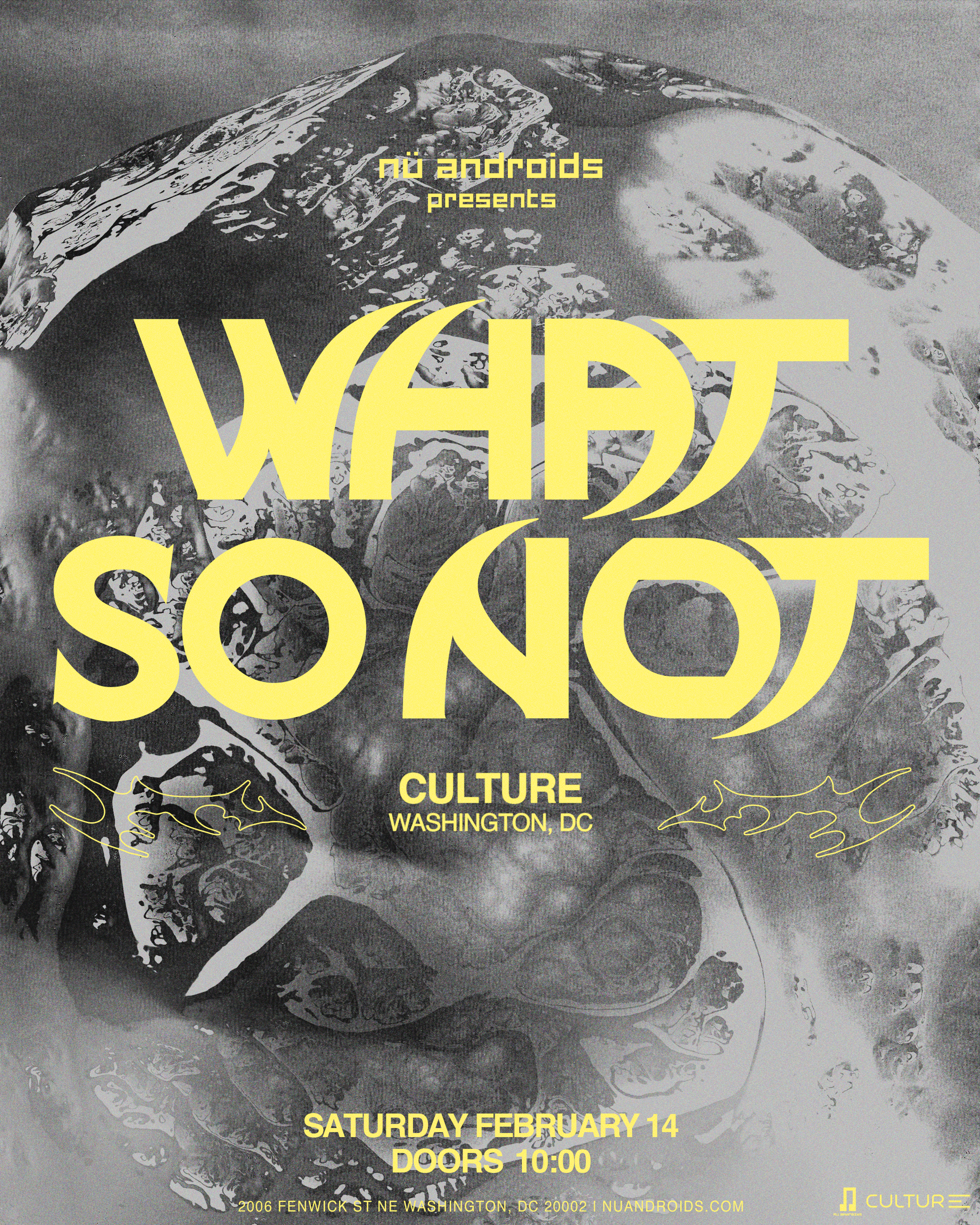 Flyer image for What So Not