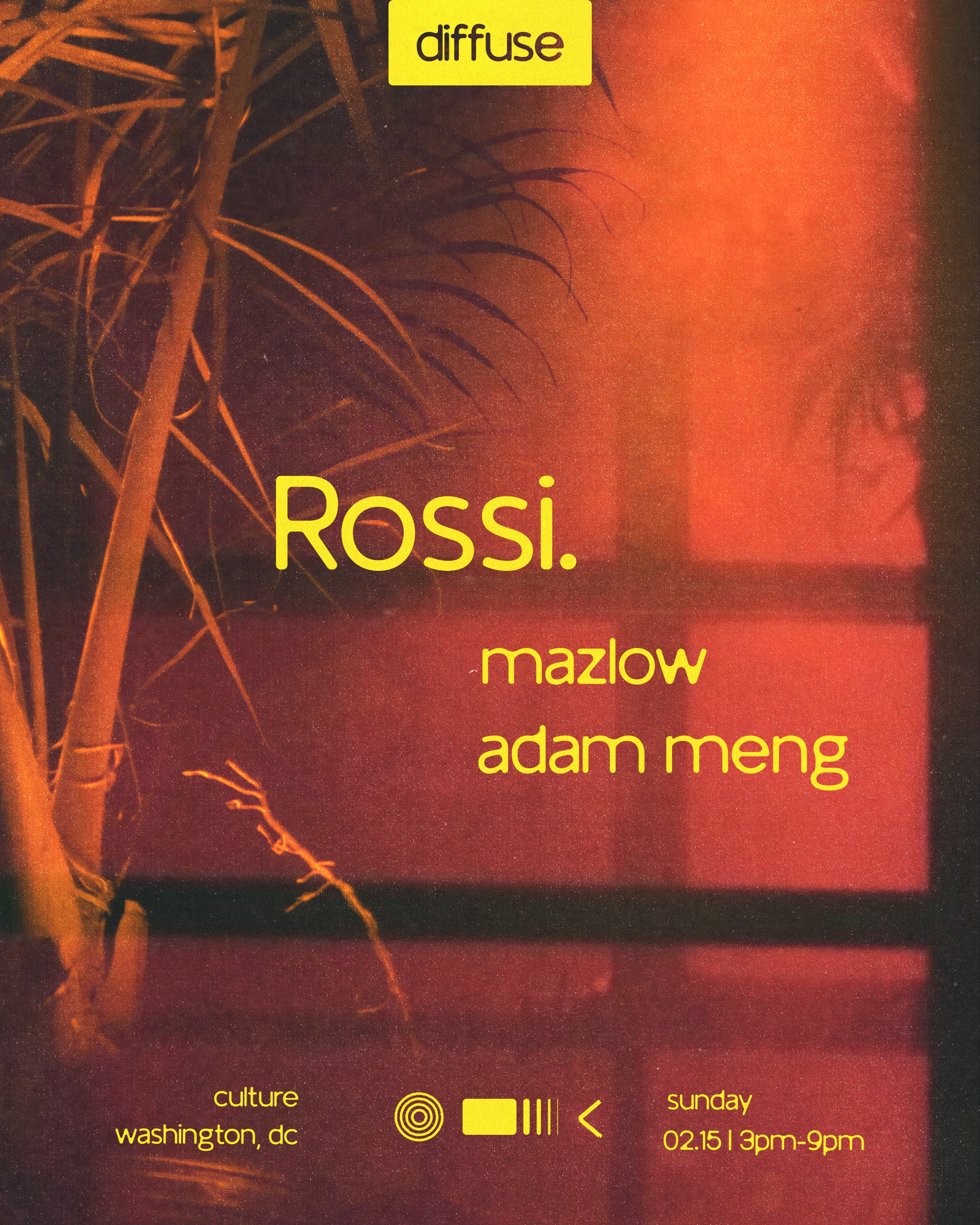 Flyer image for Diffuse: Rossi.