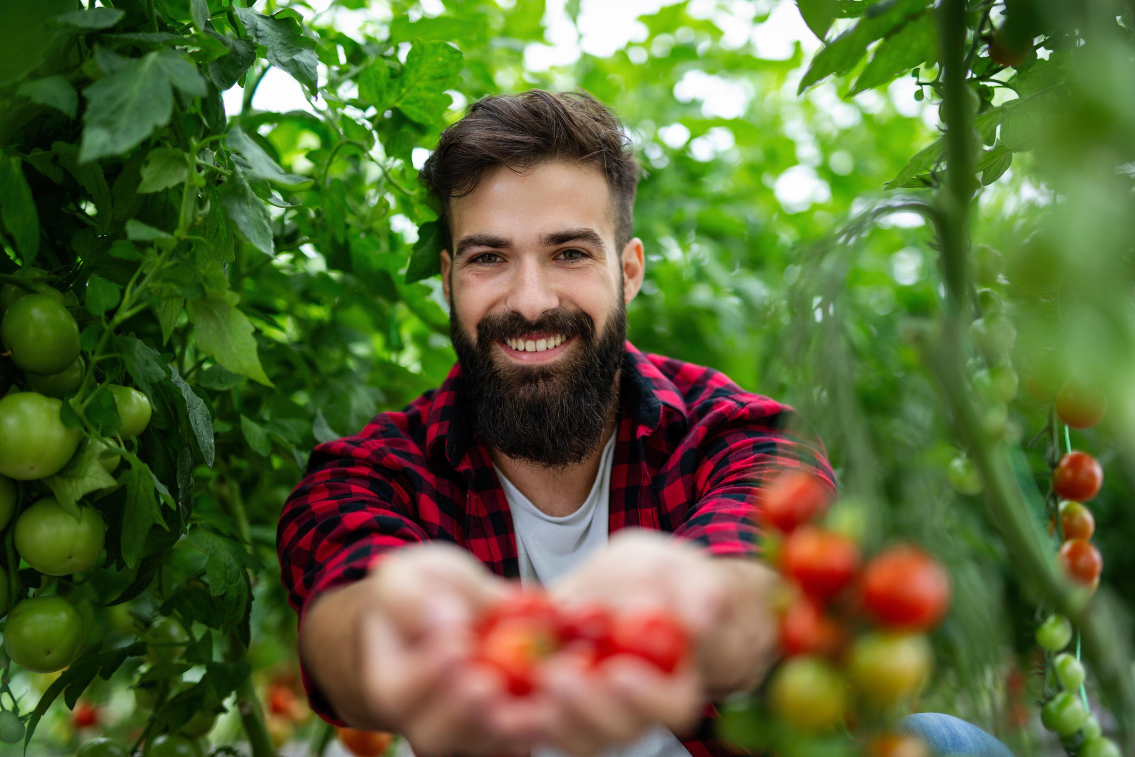 Gutt som står i et gartneri med tomatplanter. Bransjeprogrammet.