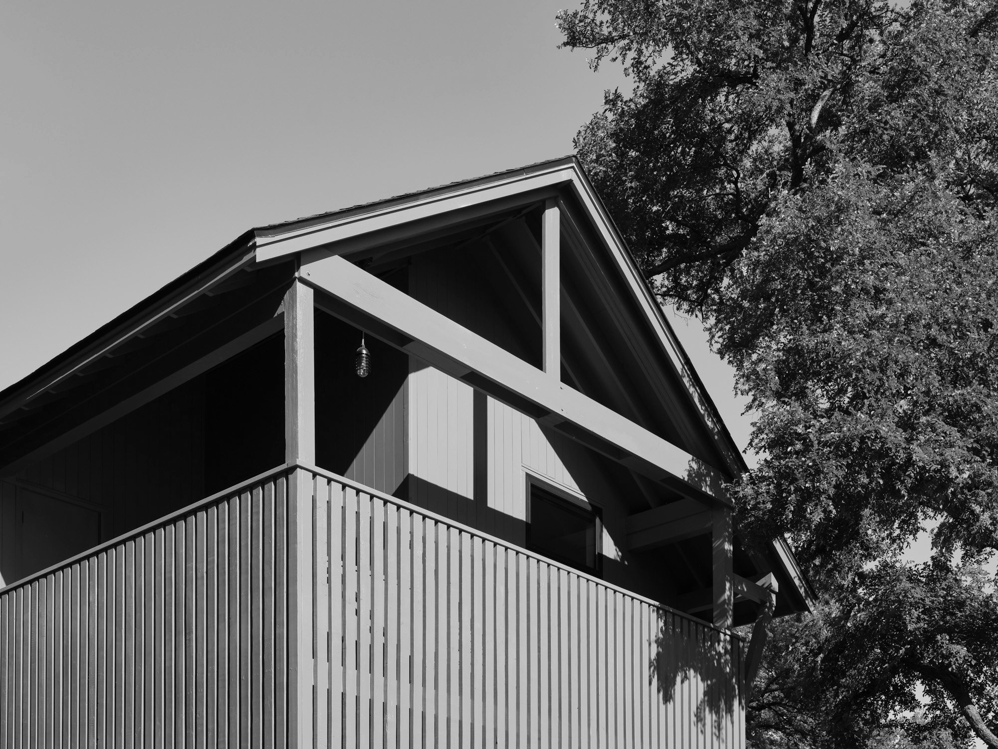Green timber house with a gabled roof beside mature trees