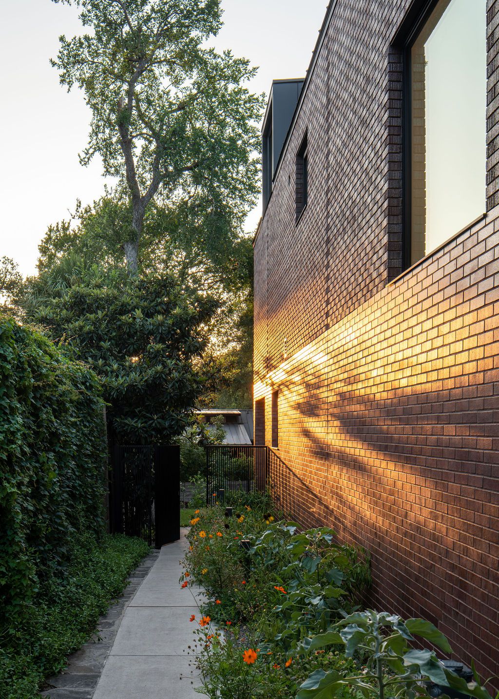 Garden path runs between a brick house and dense greenery