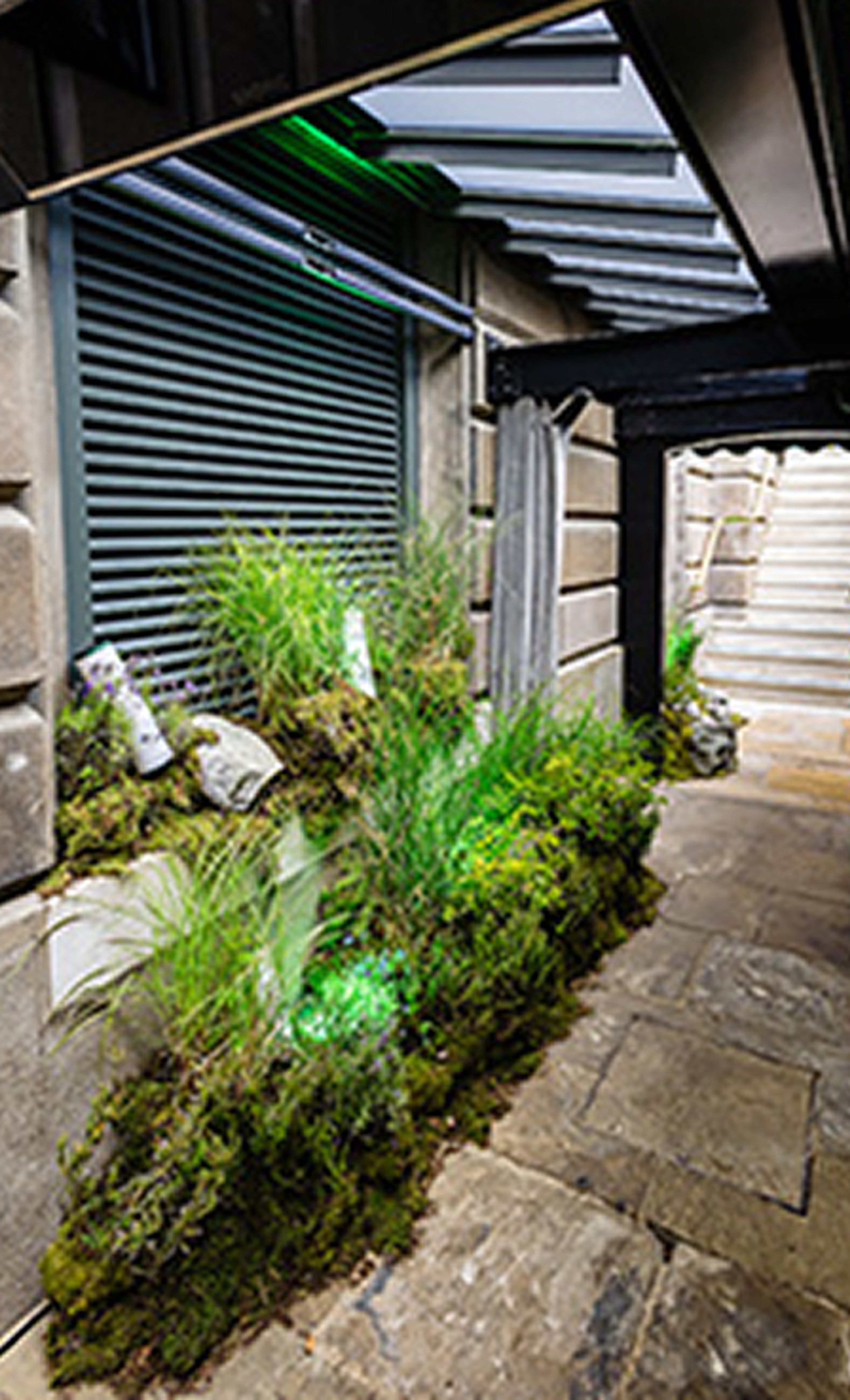 An outdoor stone pathway featuring decorative green moss and plant installations