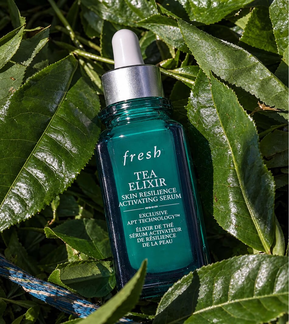 A bottle of Fresh Tea Elixir serum resting among lush green tea leaves
