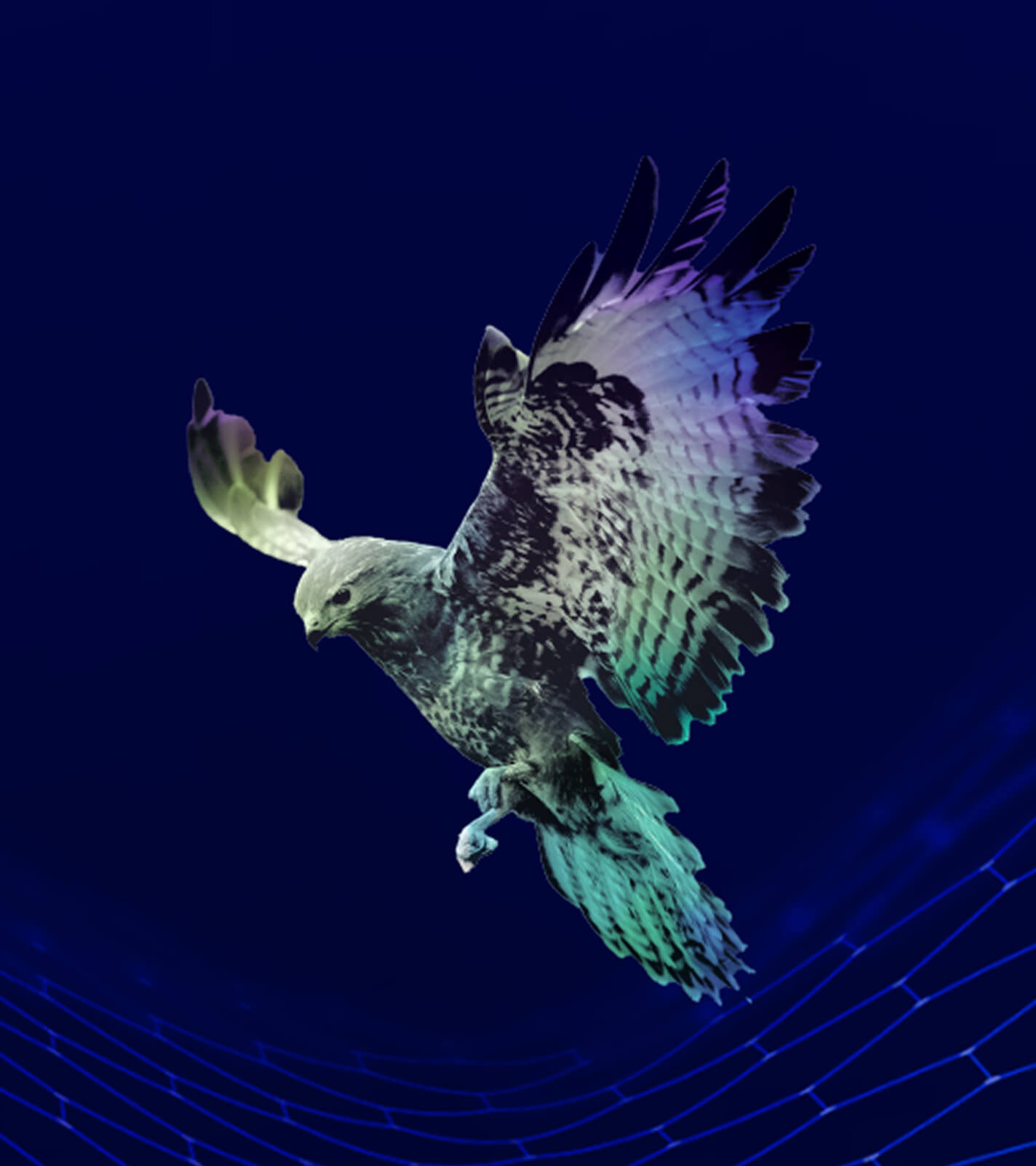A bird of prey in mid-flight with purple and teal lighting against a dark blue background