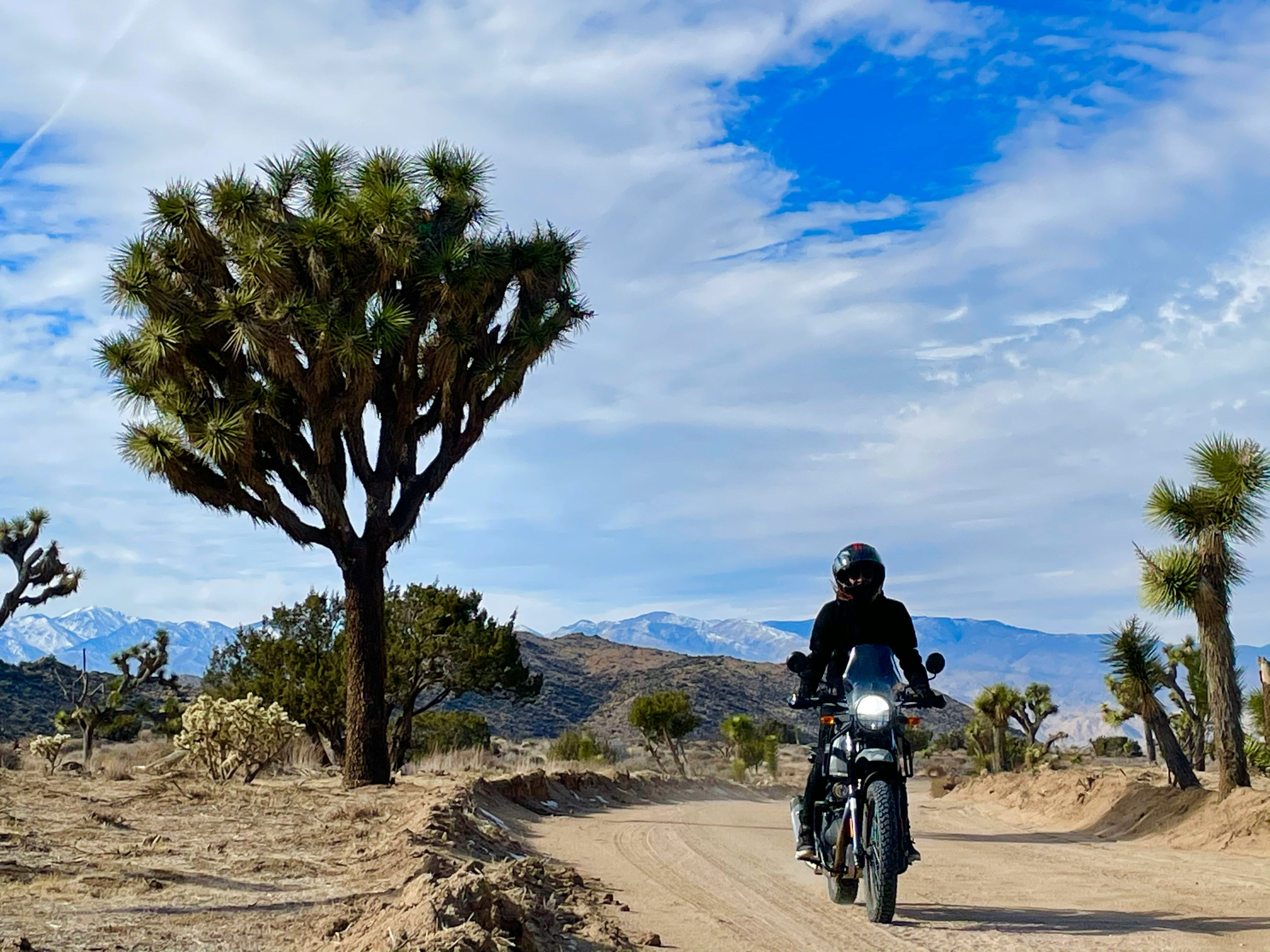 Joshua Tree explored by motorbike 