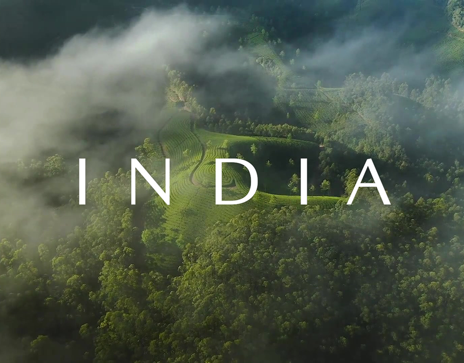 Mist drifting over green hills and terraced fields, with ‘India’ overlaid in white.