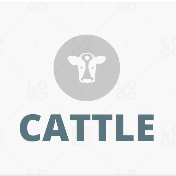 Cattle